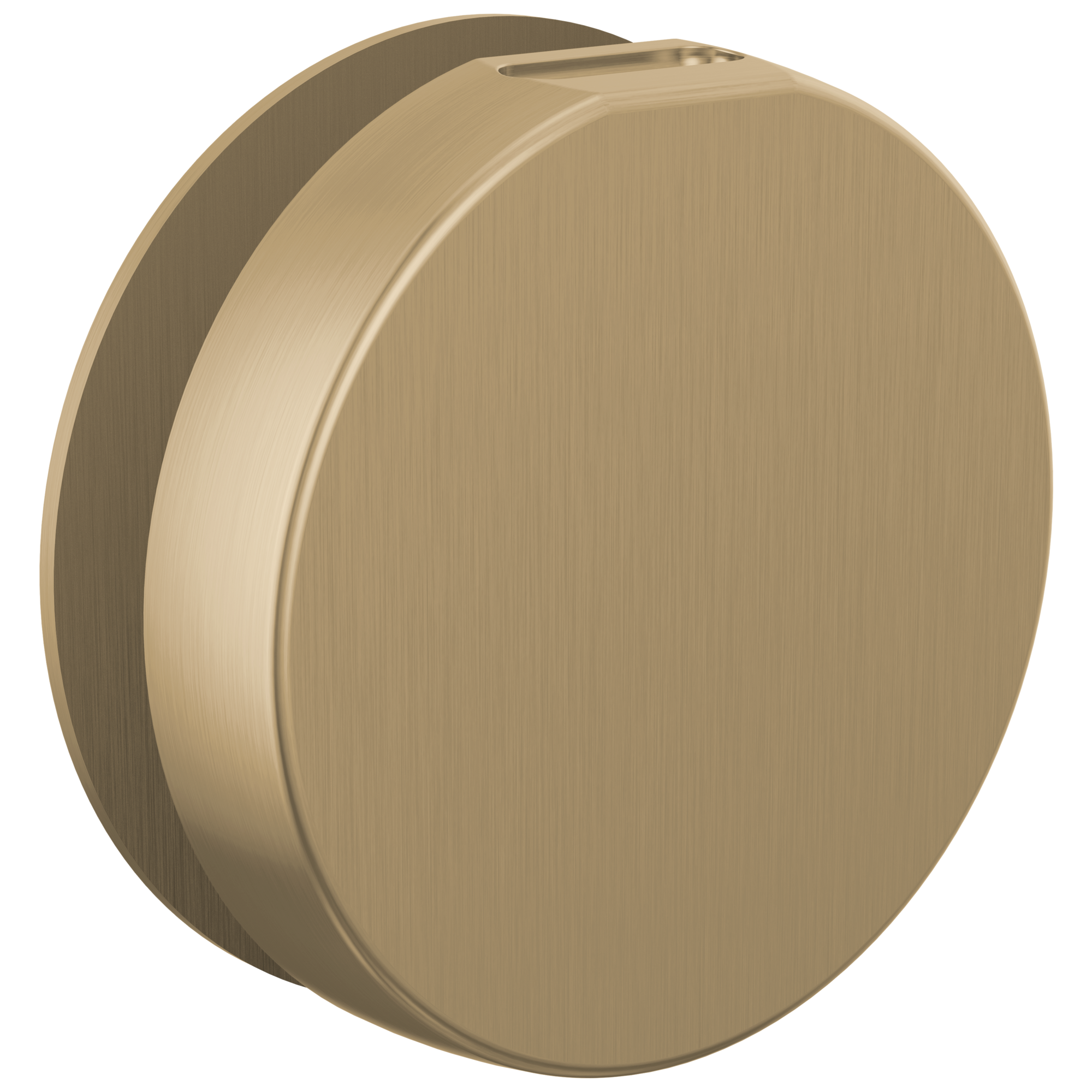 Brizo Mystix Round Steam Head by Brizo