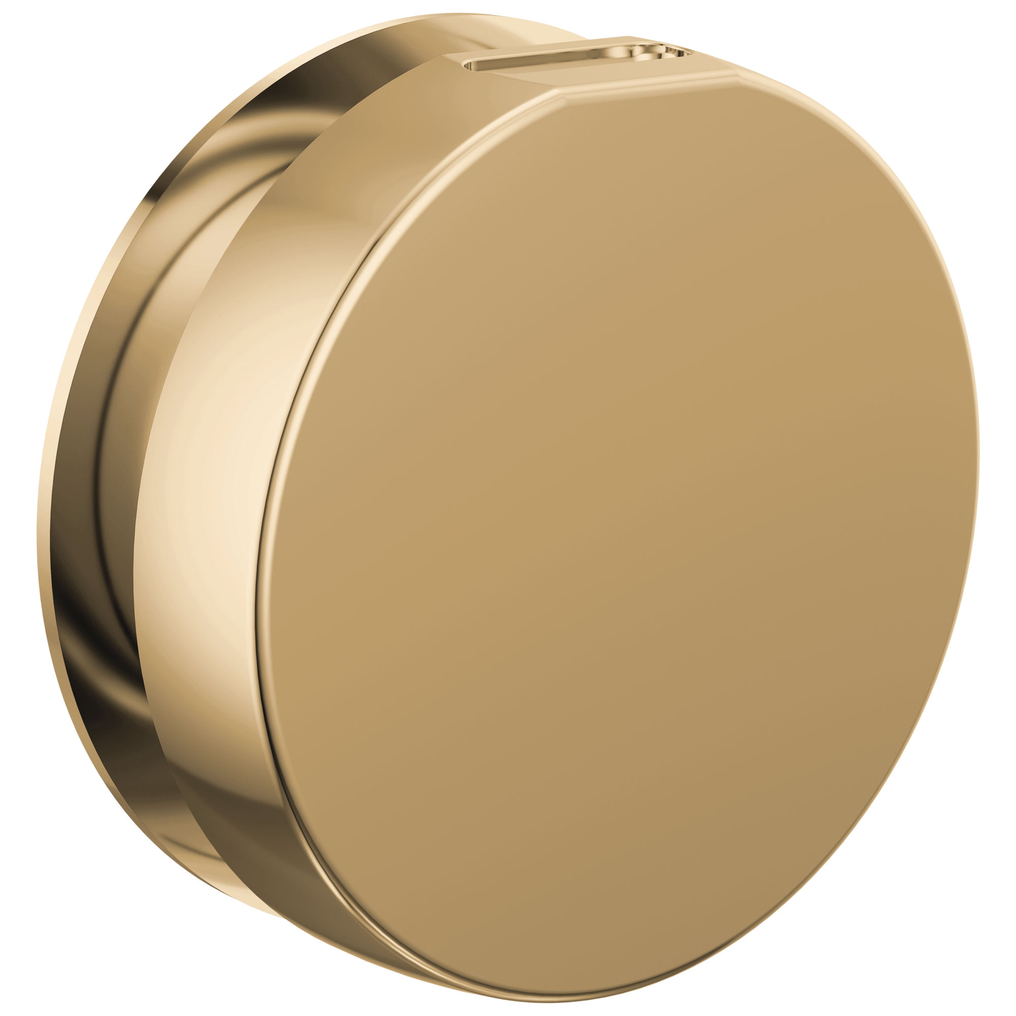 Brizo Mystix Round Steam Head by Brizo