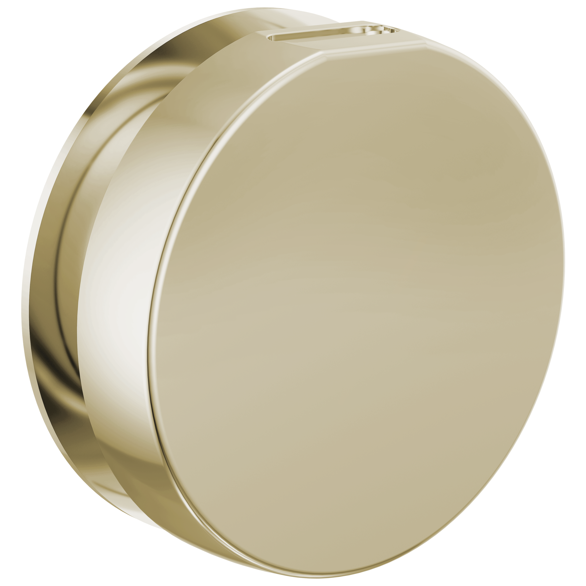 Brizo Mystix Round Steam Head by Brizo