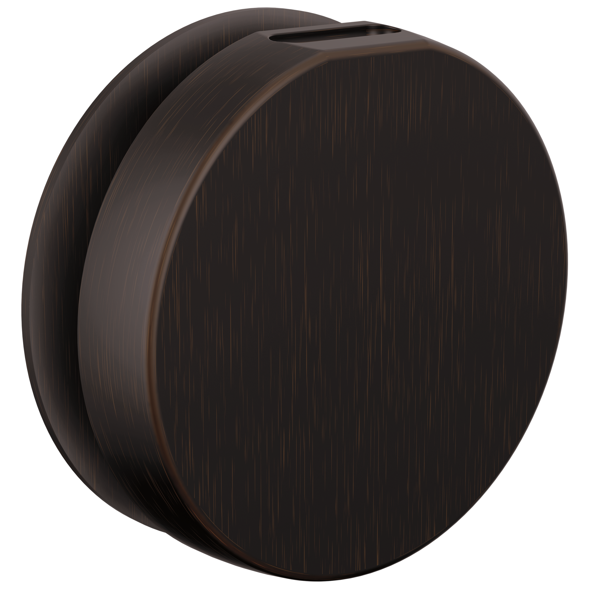 Brizo Mystix Round Steam Head by Brizo