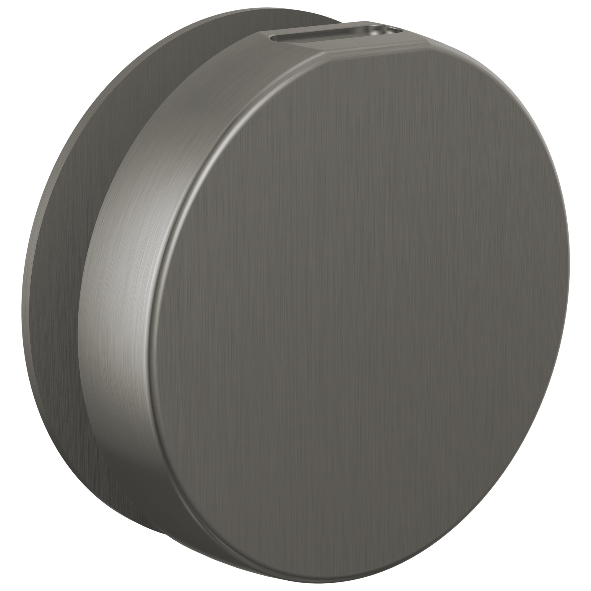Brizo Mystix Round Steam Head by Brizo