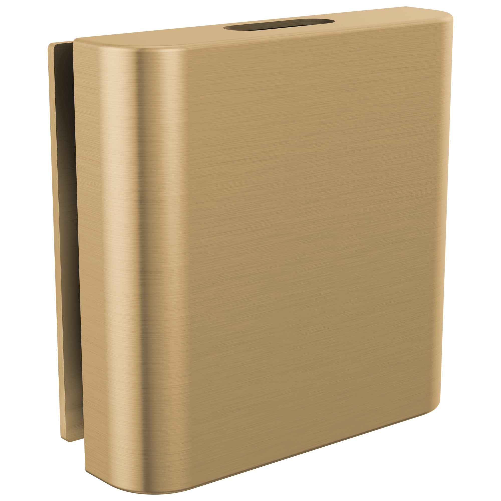 Brizo Mystix Classic Square Steam Head by Brizo