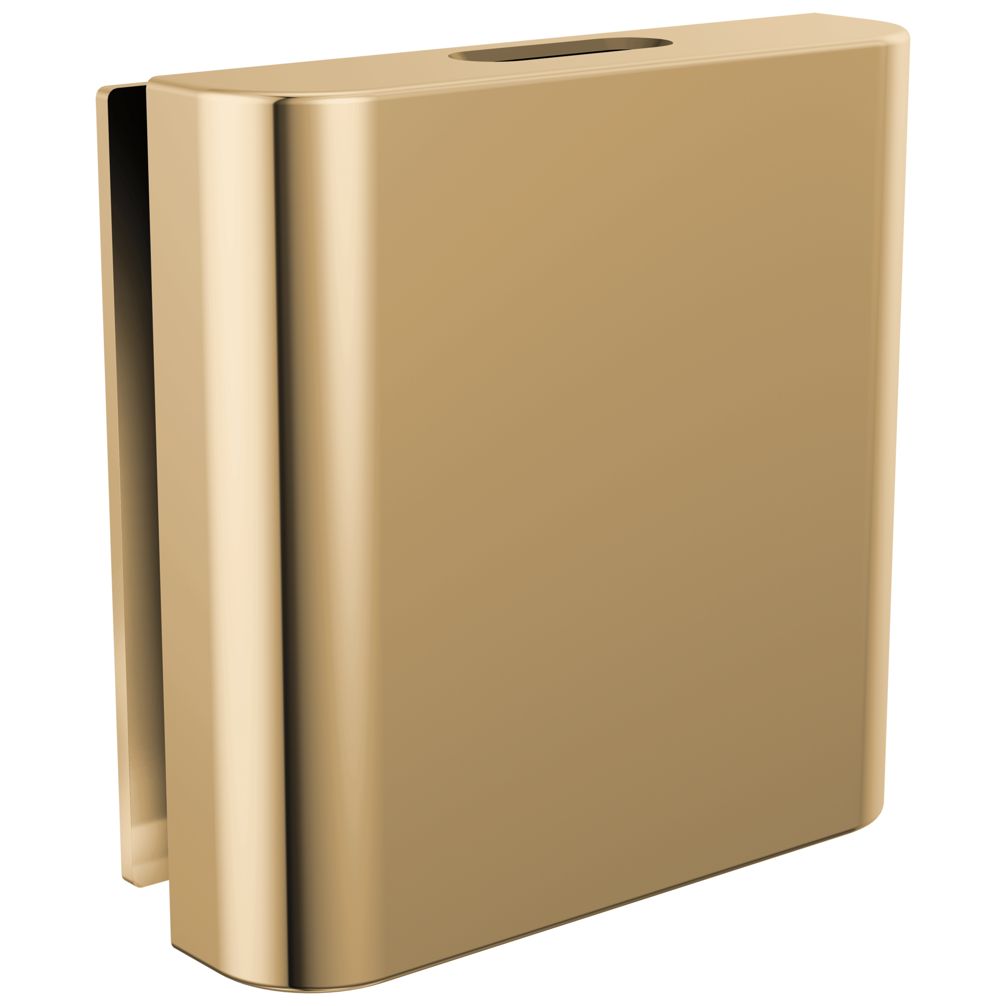 Brizo Mystix Classic Square Steam Head by Brizo