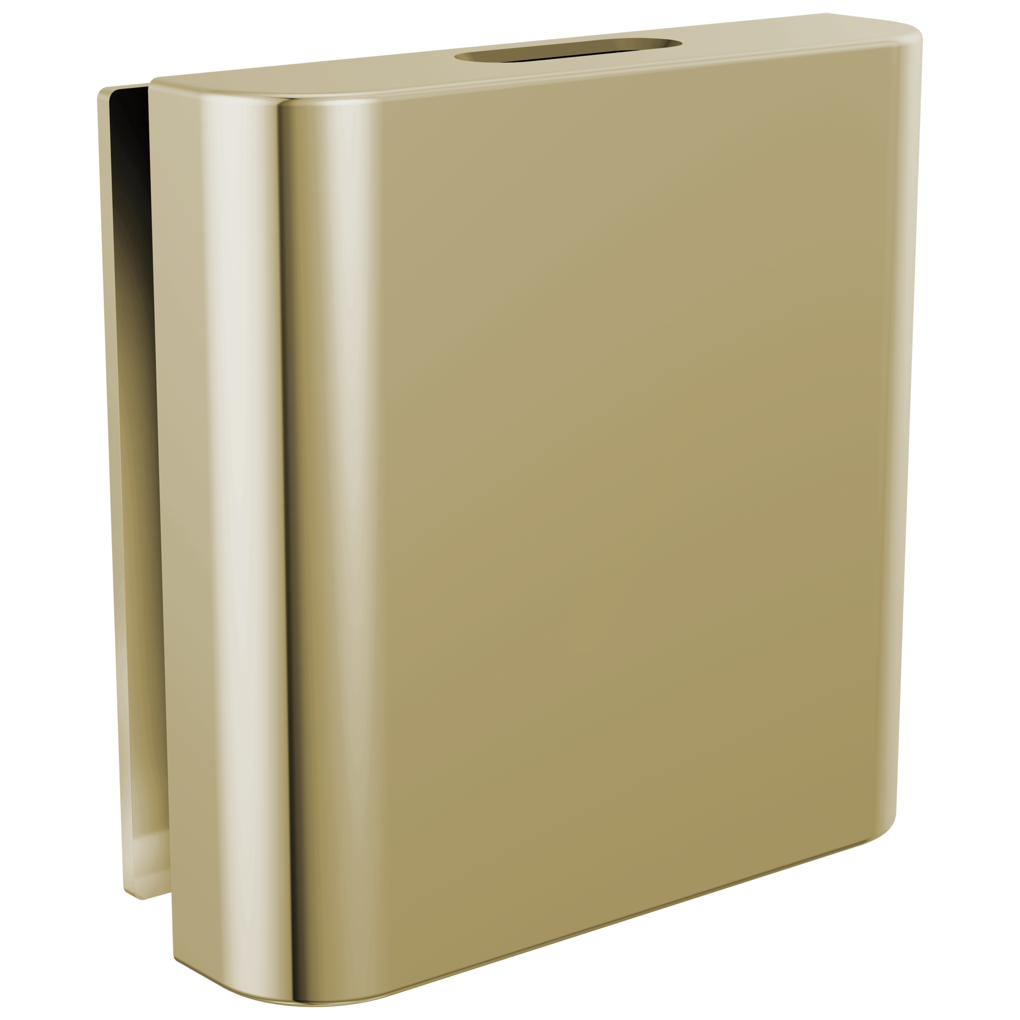 Brizo Mystix Classic Square Steam Head by Brizo