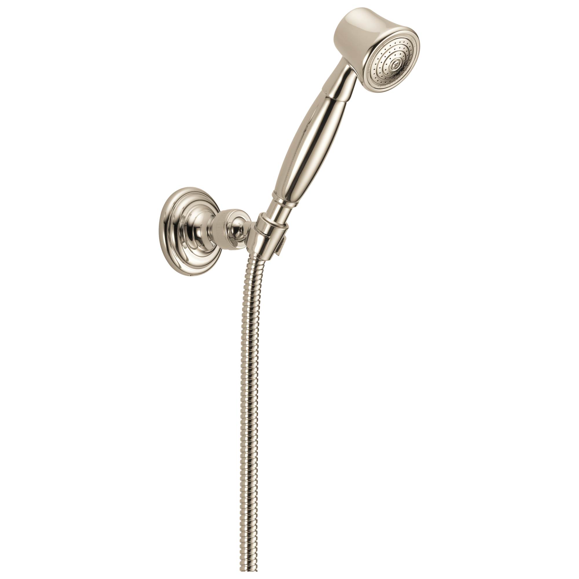 polished nickel hand shower