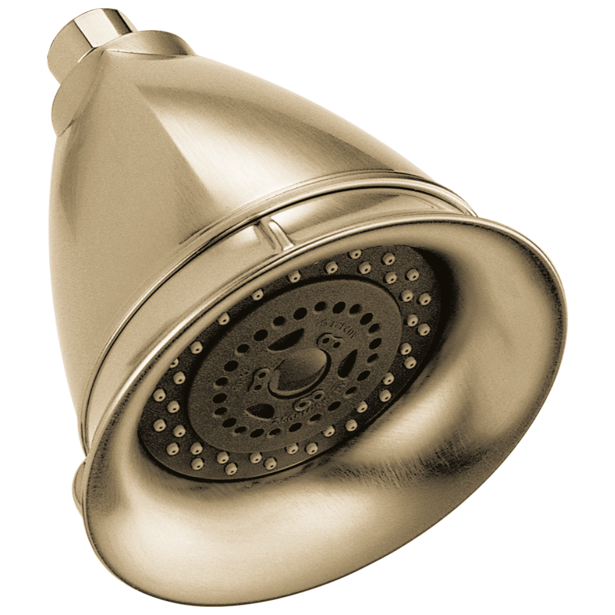 luxe gold showerhead