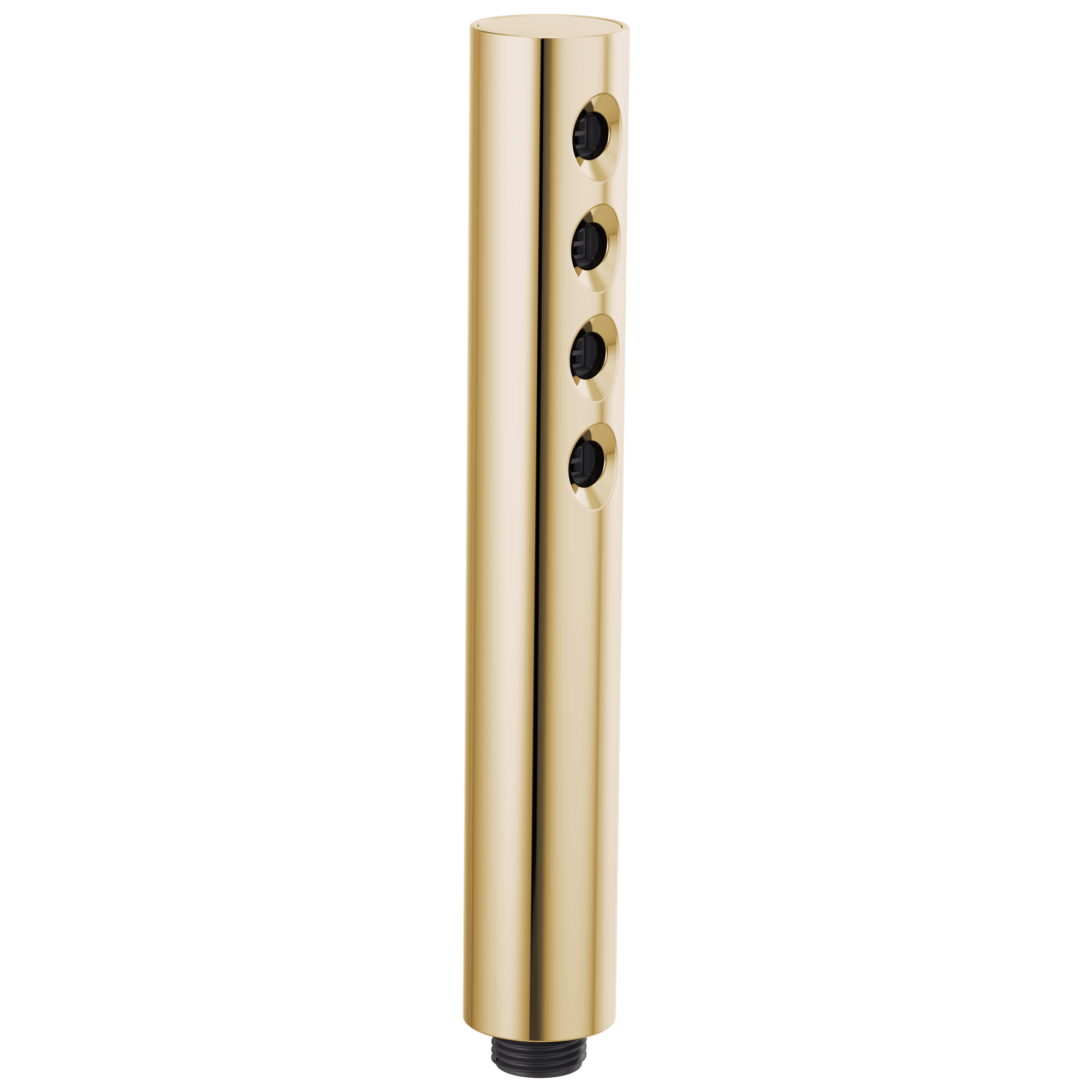 polished gold handshower