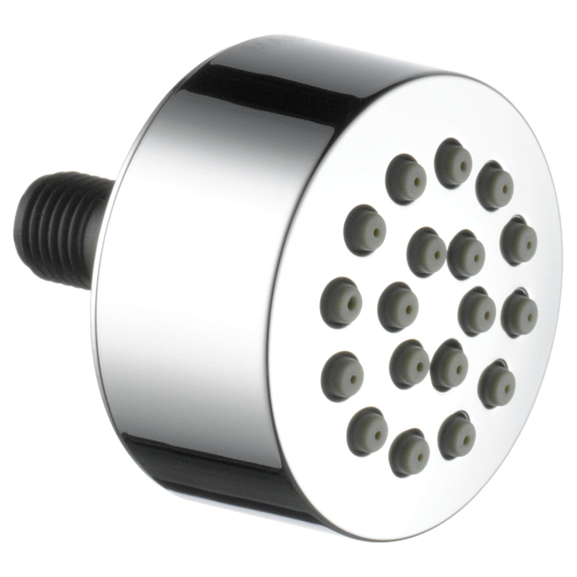chrome spray head