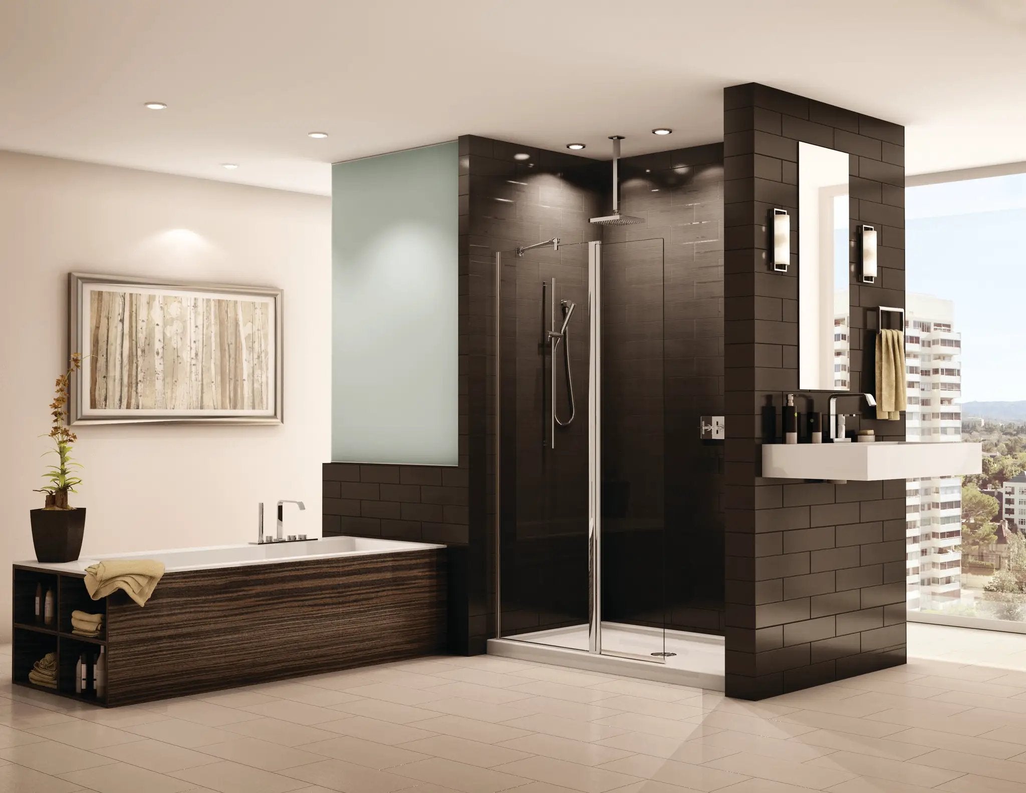 chrome shower shield