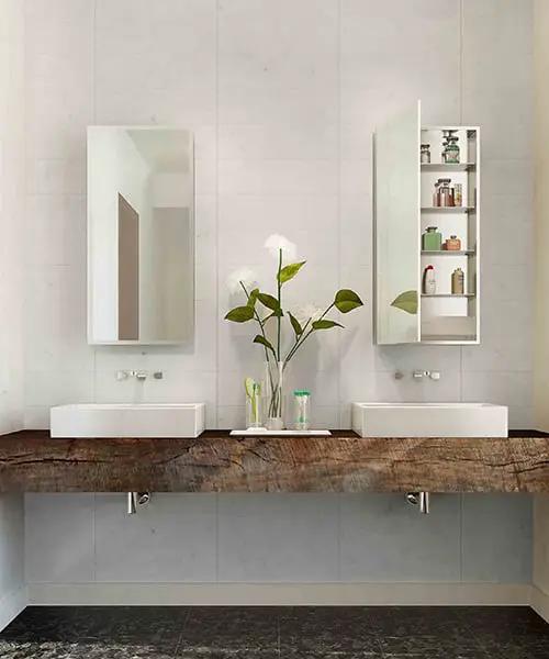 mirrored cabinet