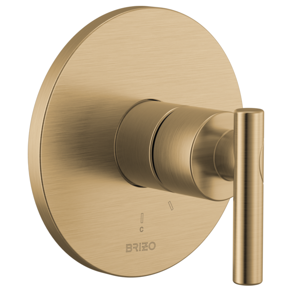 luxe gold shower valve