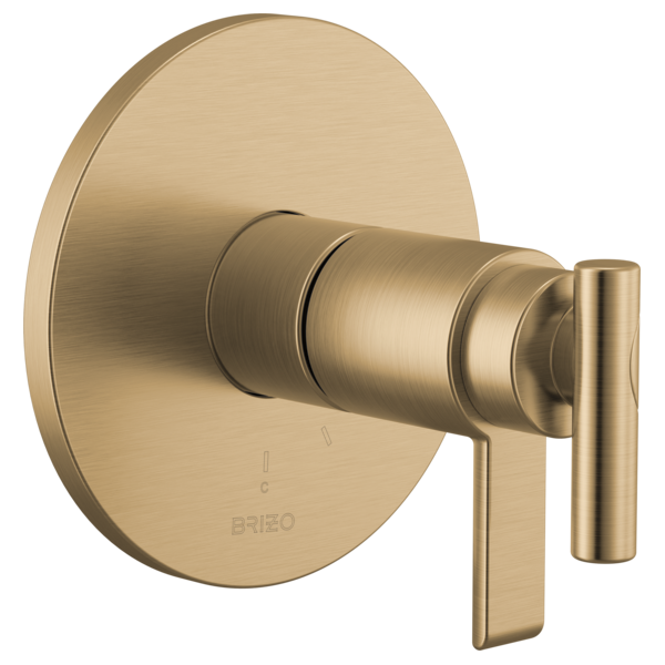 luxe gold shower valve