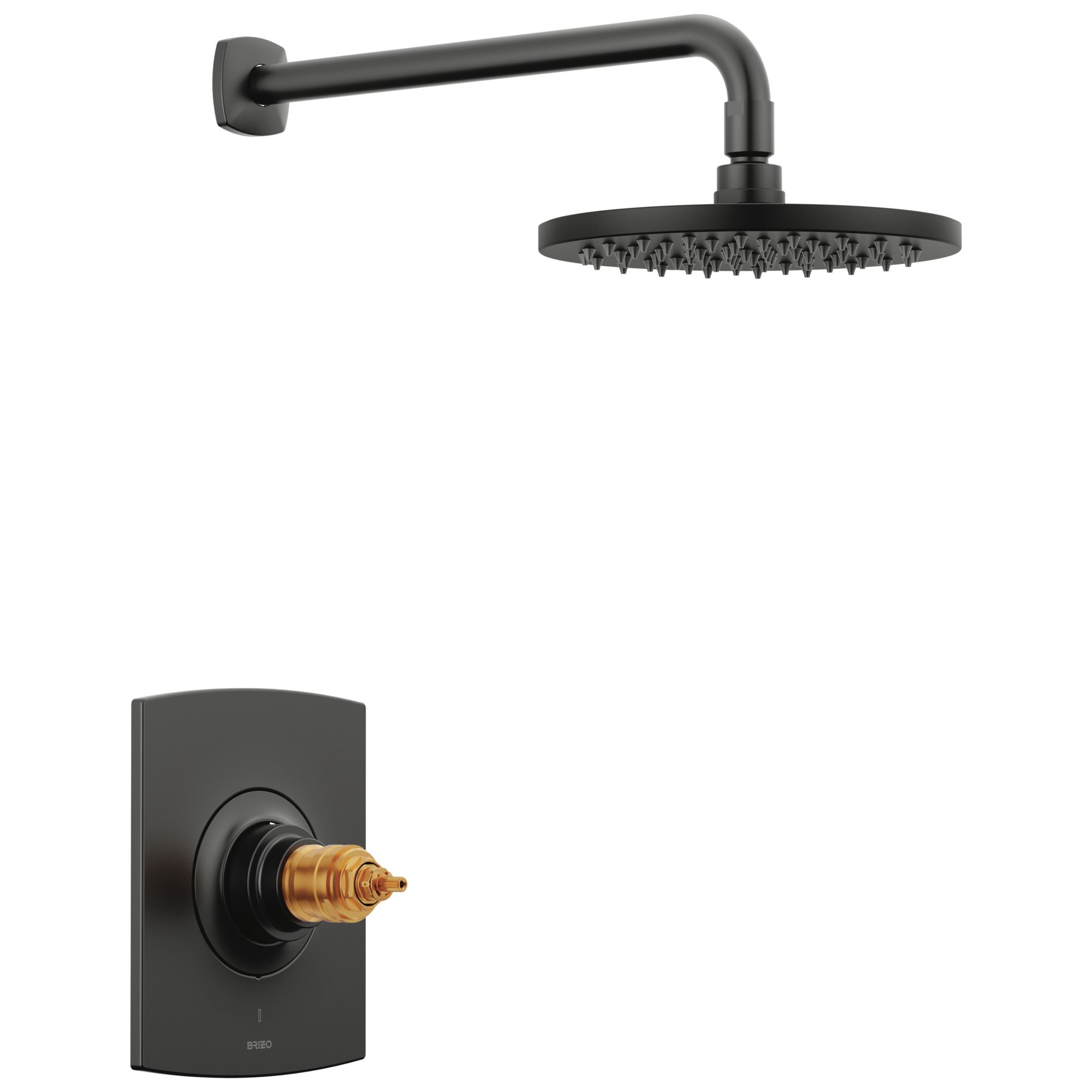 matte black thermostatic shower