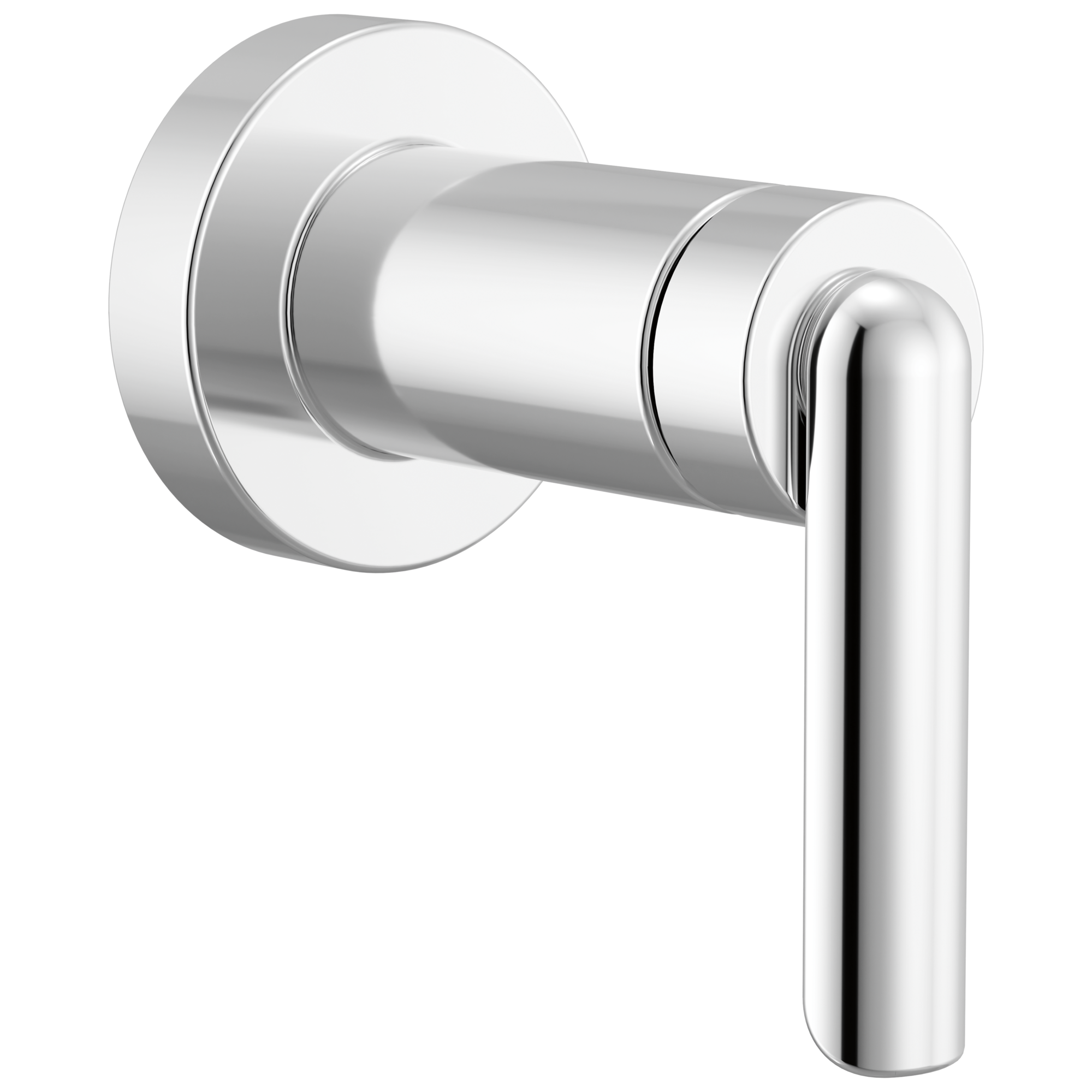 chrome shower trim