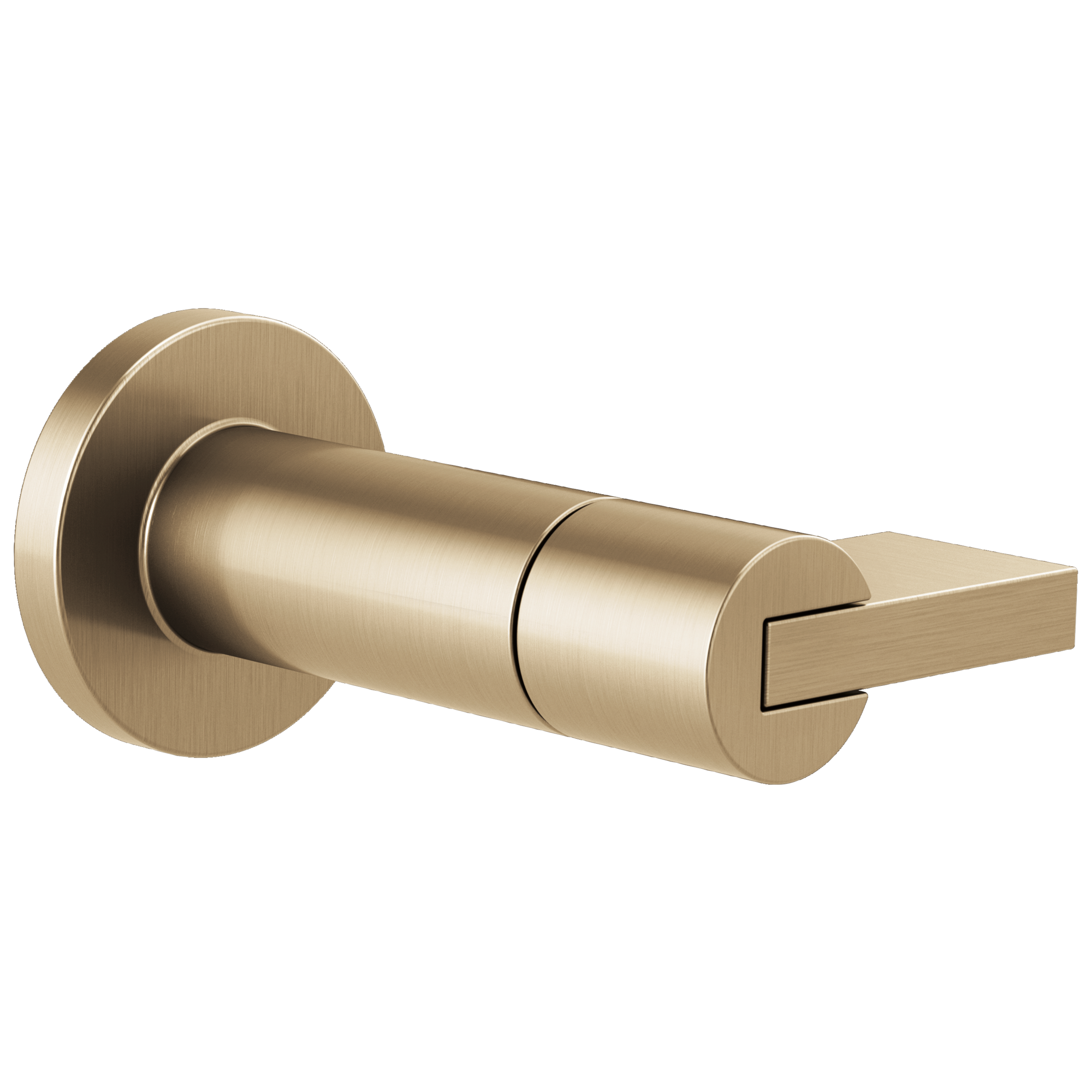 luxe gold volume control trim