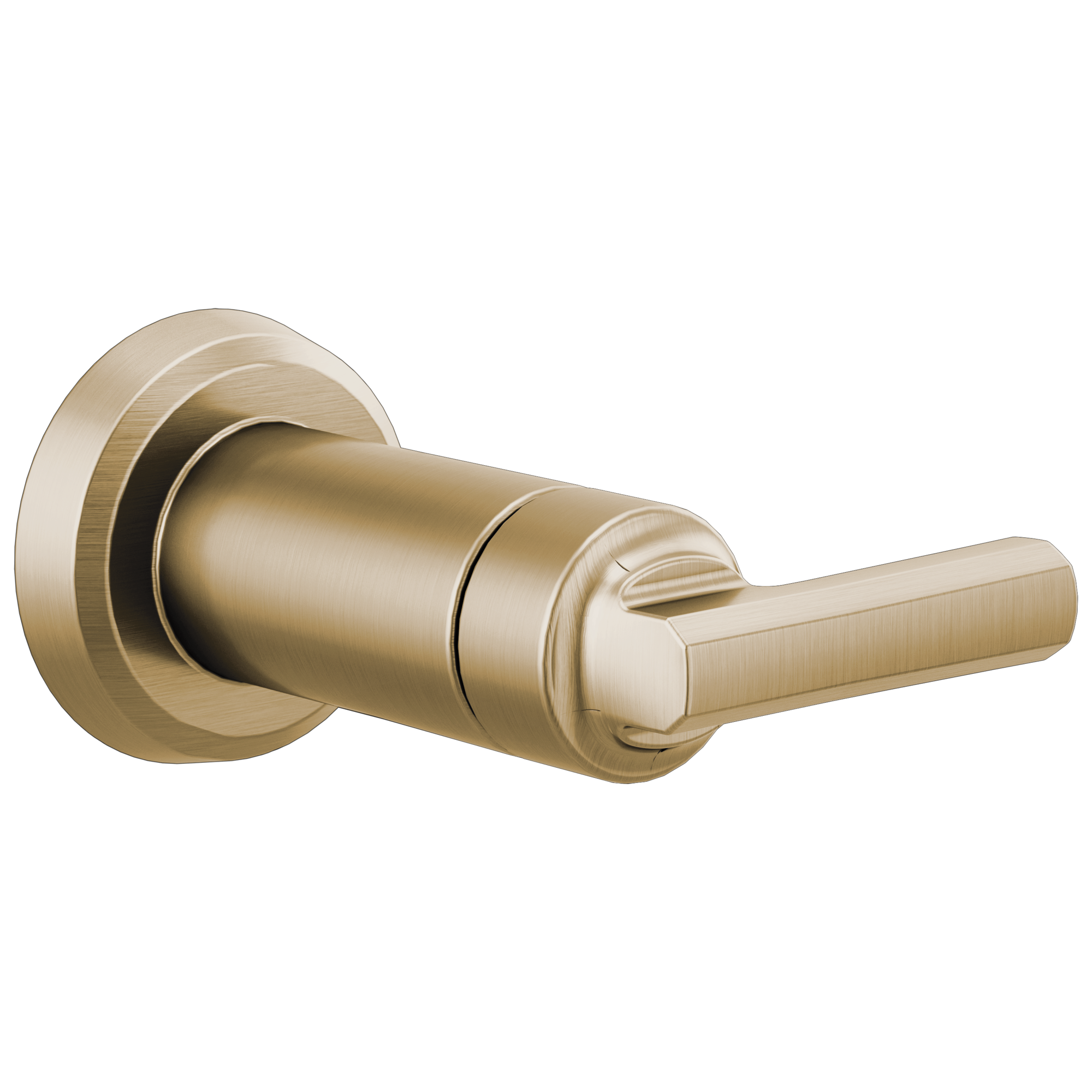 Brizo Levoir Sensori Volume Control Trim Lever by Brizo