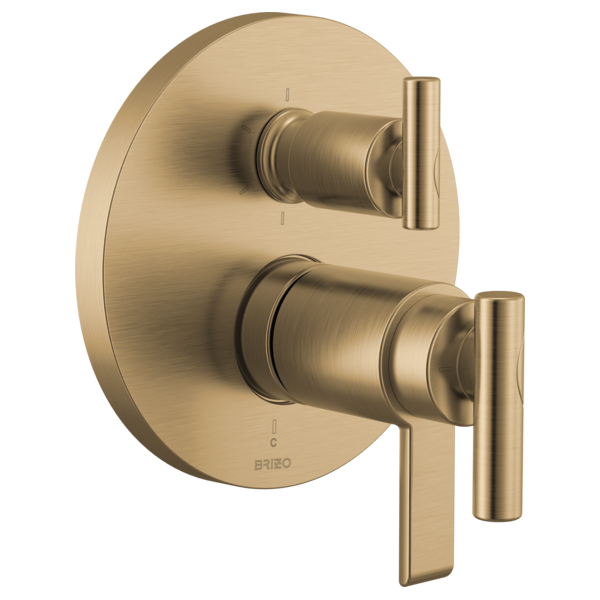 luxe gold shower trim