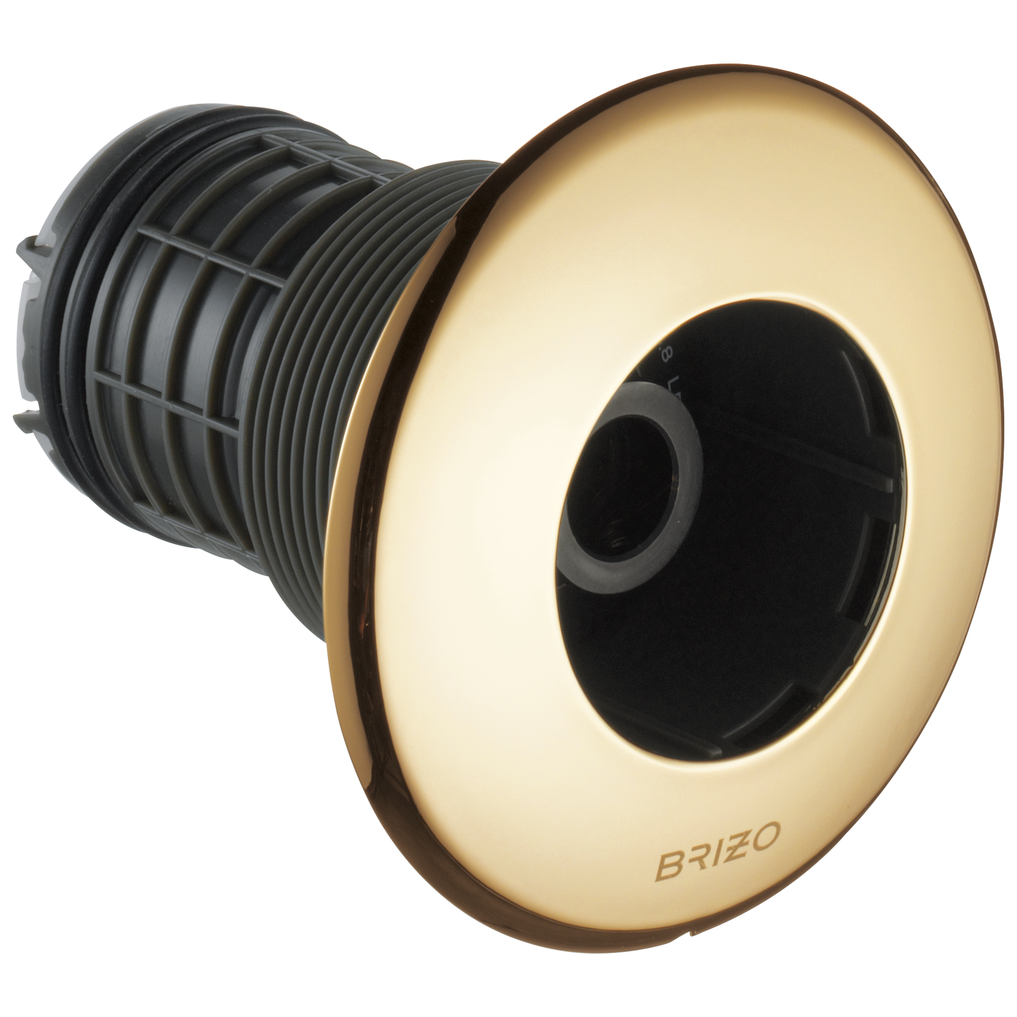 Brizo Universal Showering Hydrachoice Max Round Body Spray Trim by Brizo