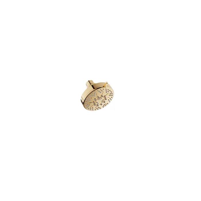 Baril Shower Components 5-Spray Anti-Limestone Modern Shower Head by Baril