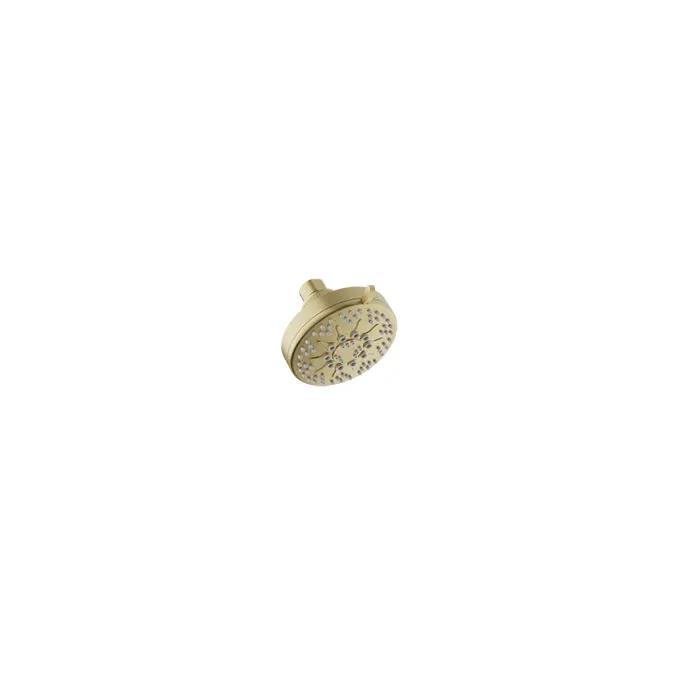 Baril Shower Components 5-Spray Anti-Limestone Modern Shower Head by Baril