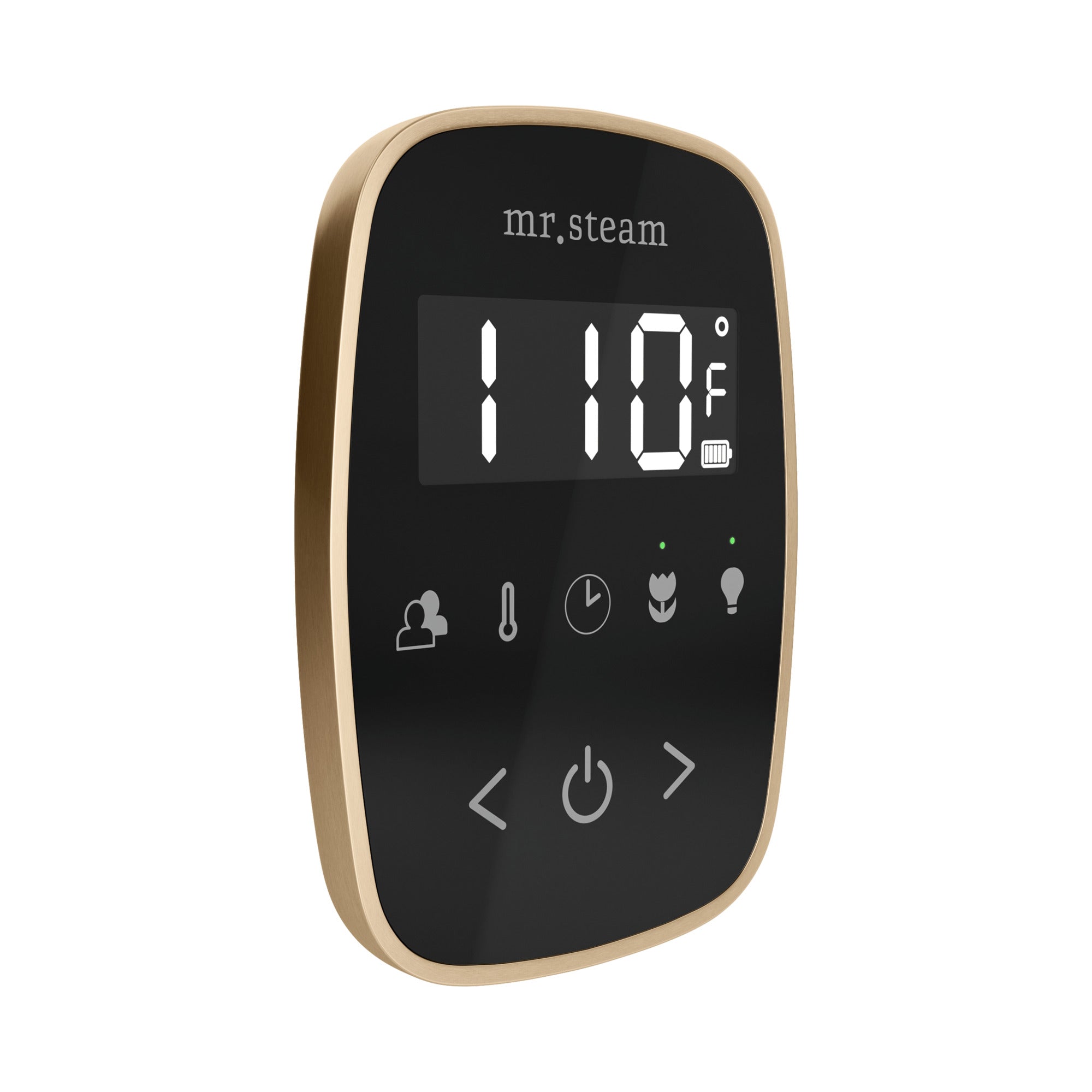 black - brushed bronze control