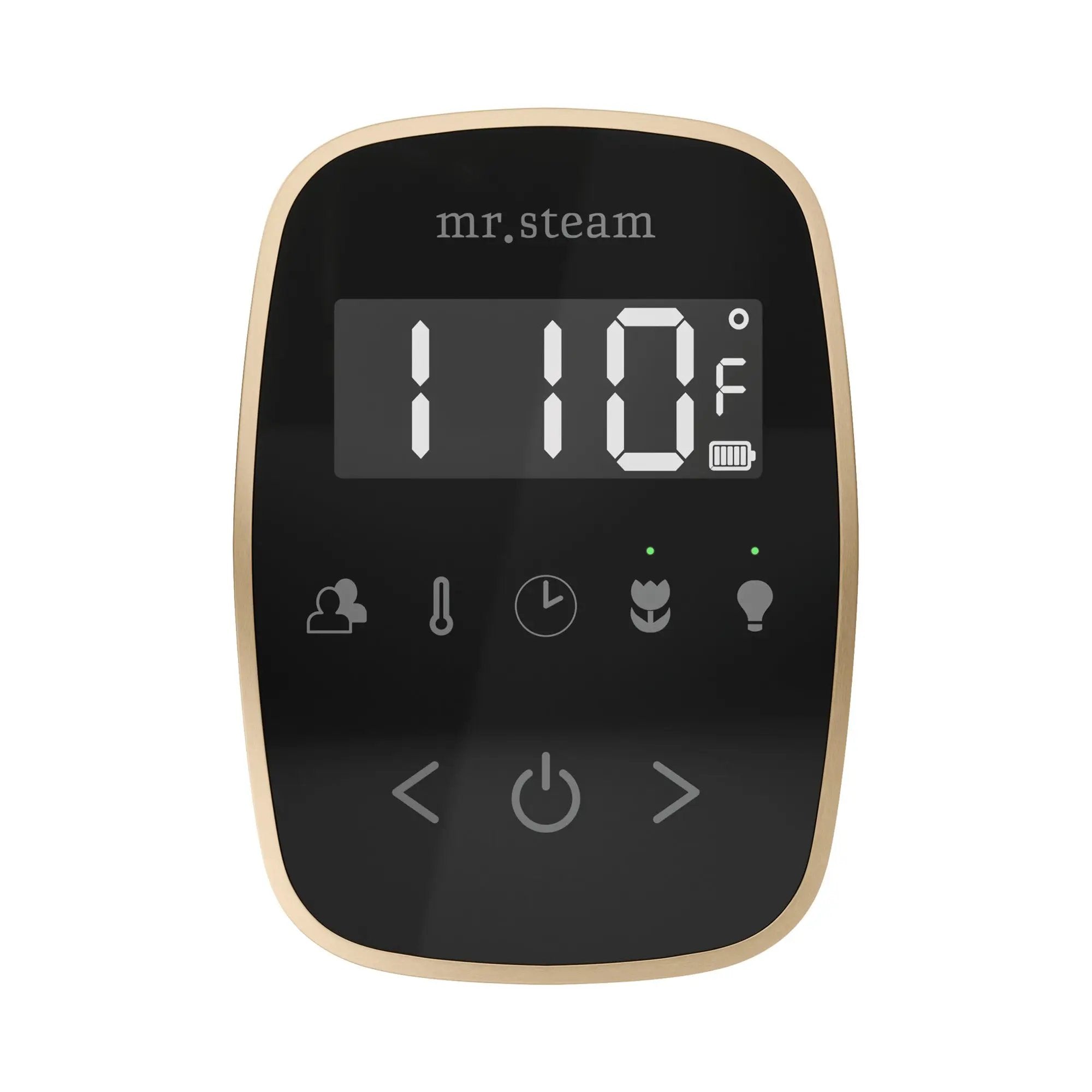 black - brushed bronze control package