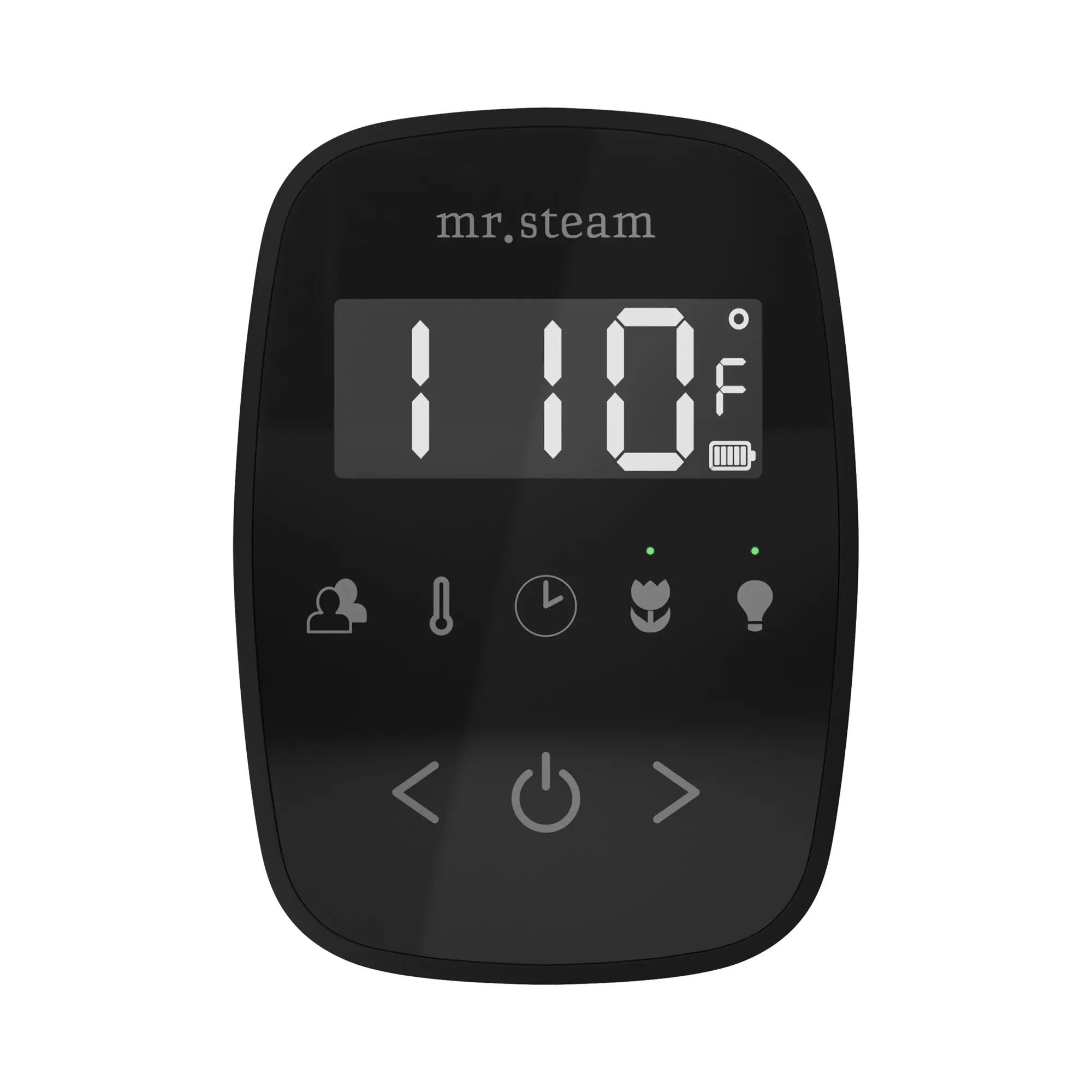 Mr Steam TempoFlex Steam Shower Control and Steamhead by Mr Steam