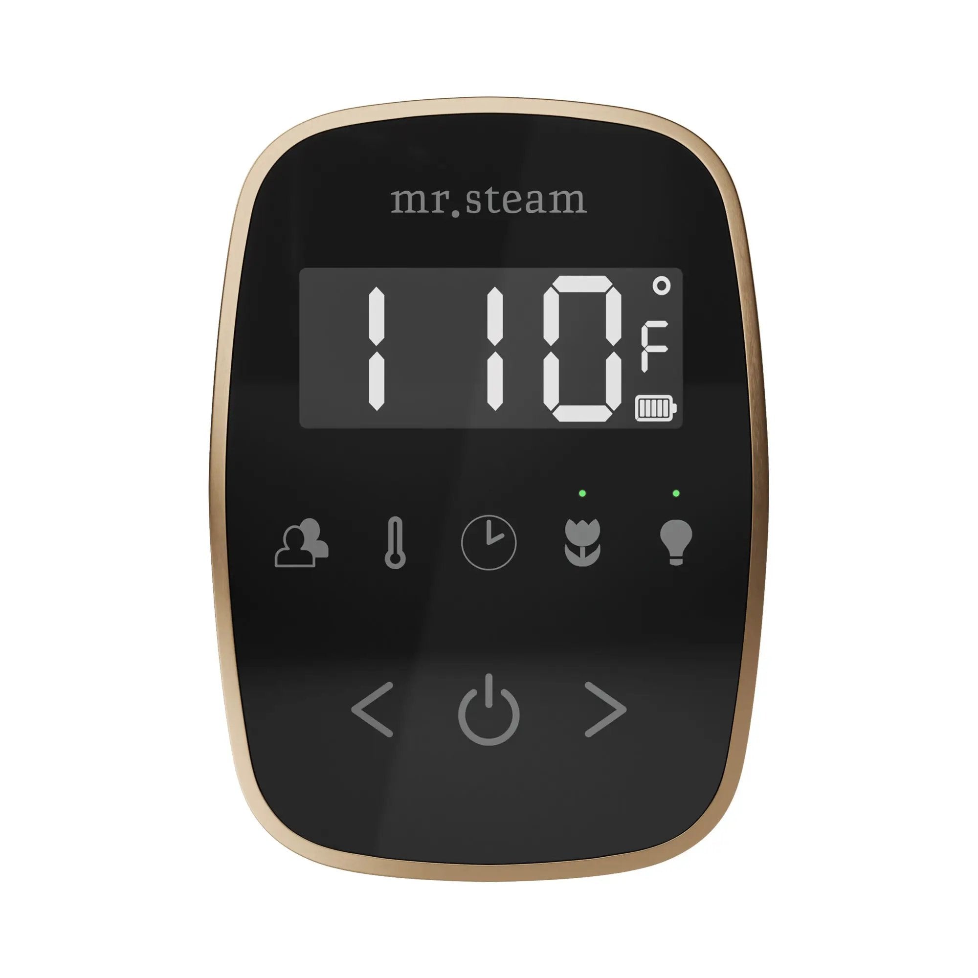 Mr Steam TempoFlex Steam Shower Control and Steamhead by Mr Steam
