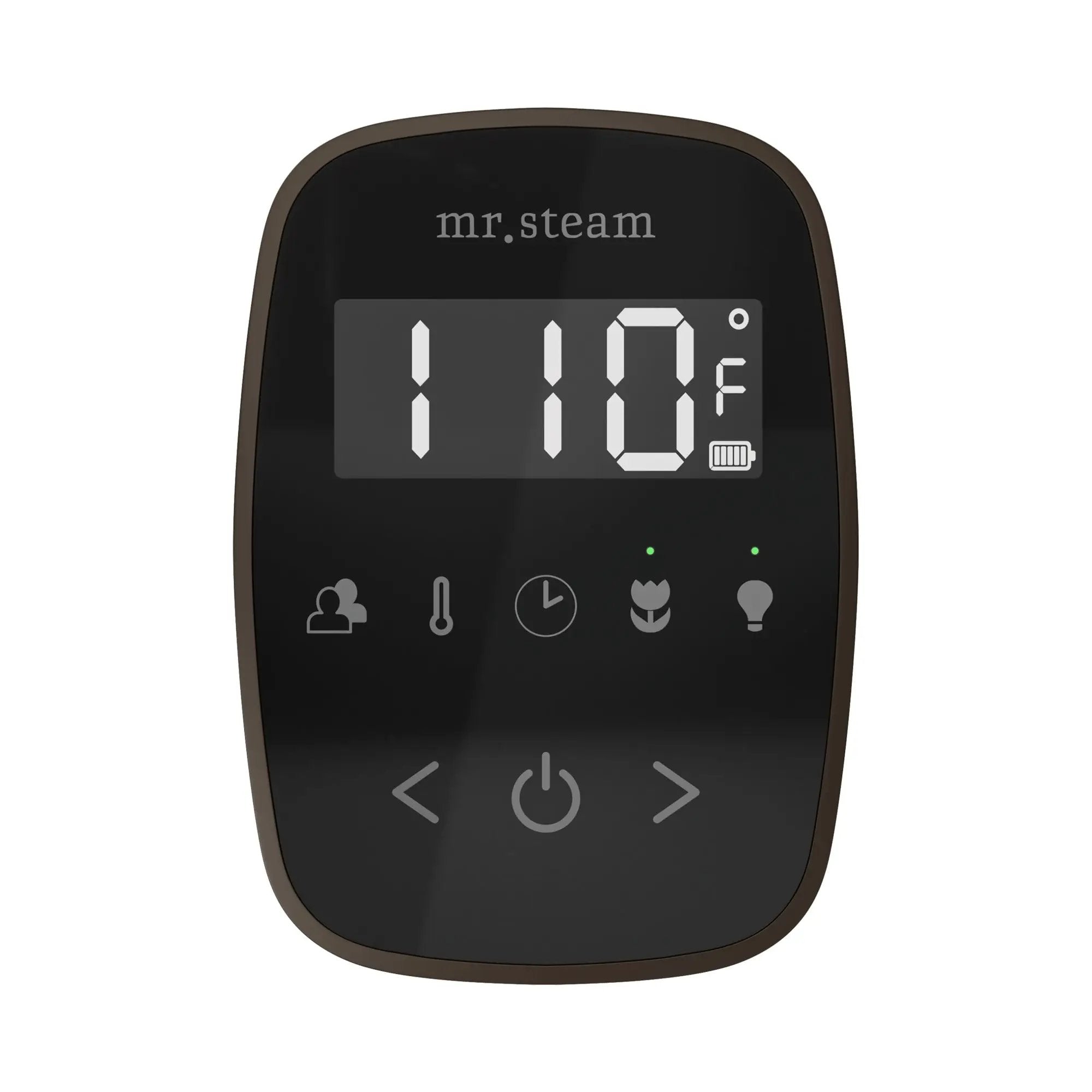 Mr Steam TempoFlex Steam Shower Control and Steamhead by Mr Steam