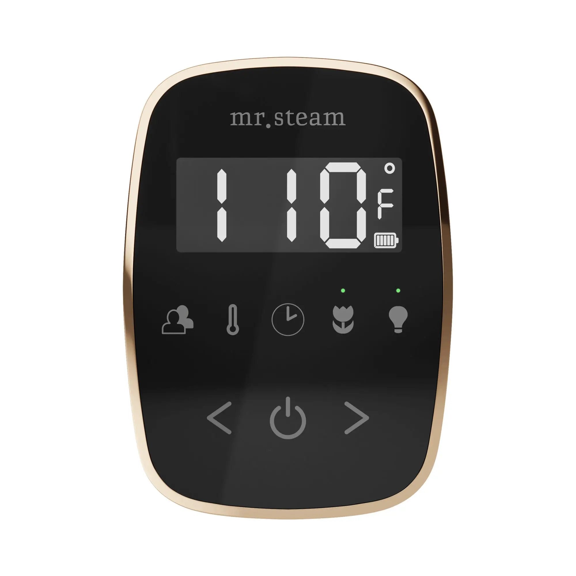 Mr Steam TempoFlex Steam Shower Control and Steamhead by Mr Steam