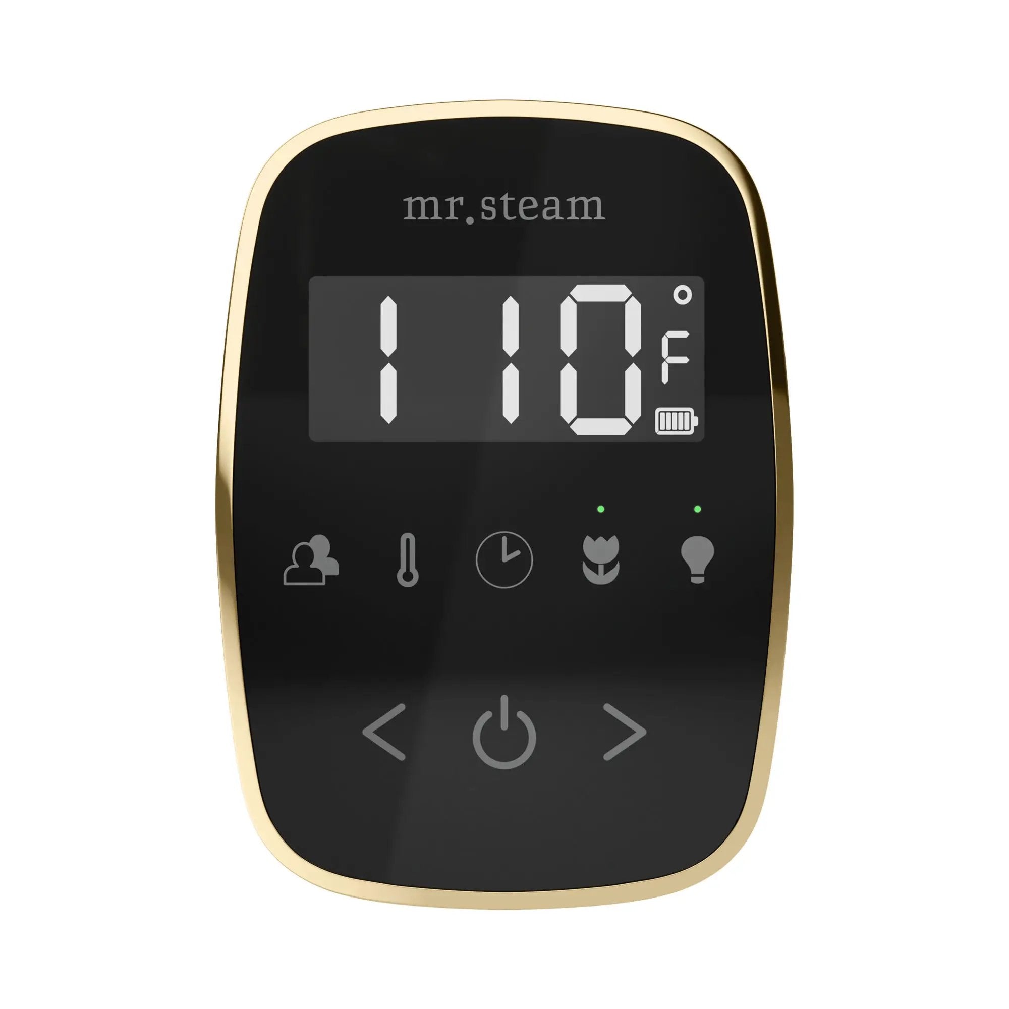 Mr Steam TempoFlex Steam Shower Control and Steamhead by Mr Steam