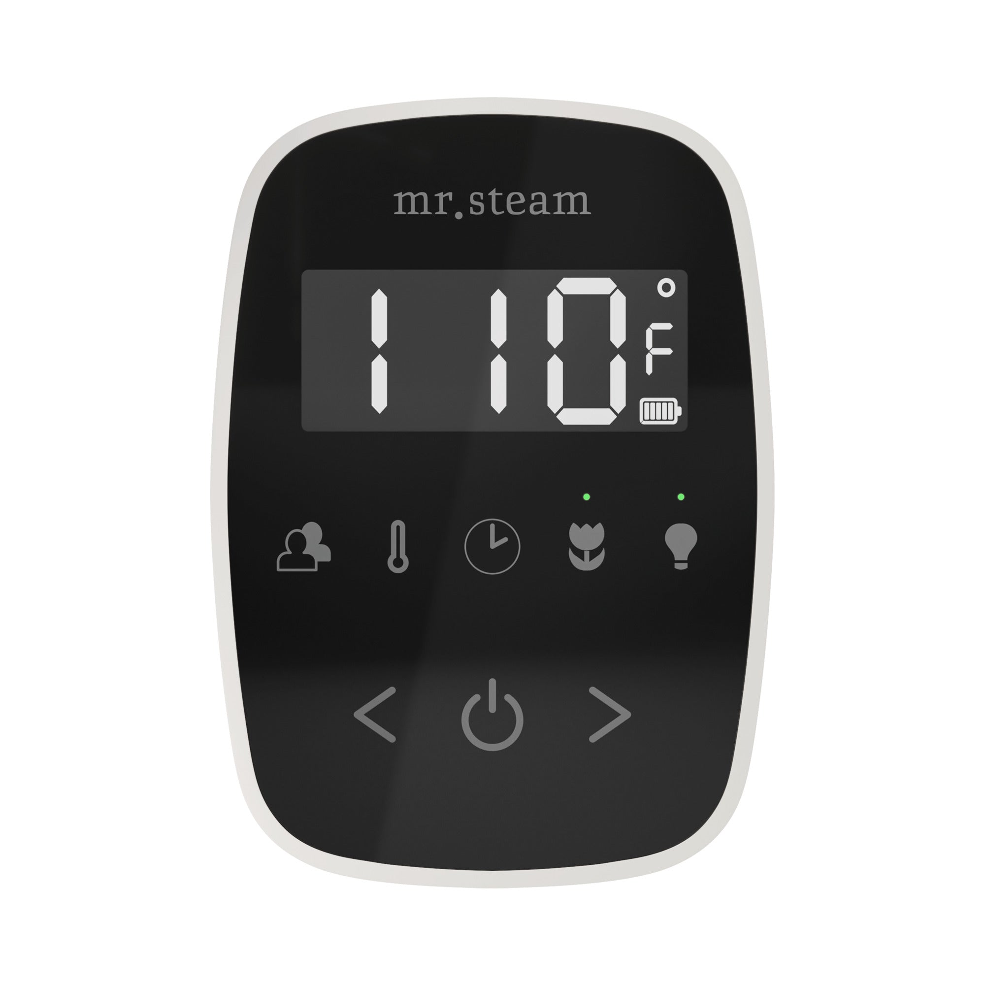 Mr Steam TempoFlex Steam Shower Control and Steamhead