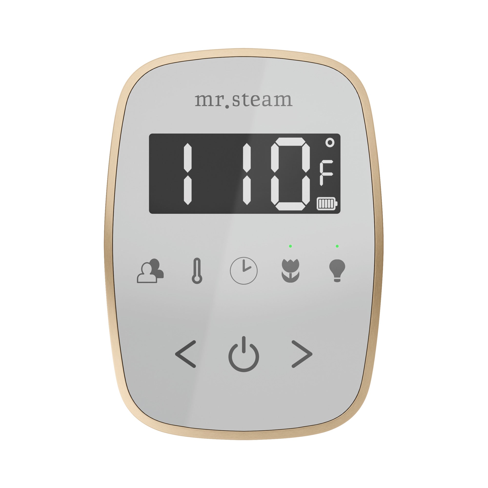 Mr Steam TempoFlex Steam Shower Control and Steamhead