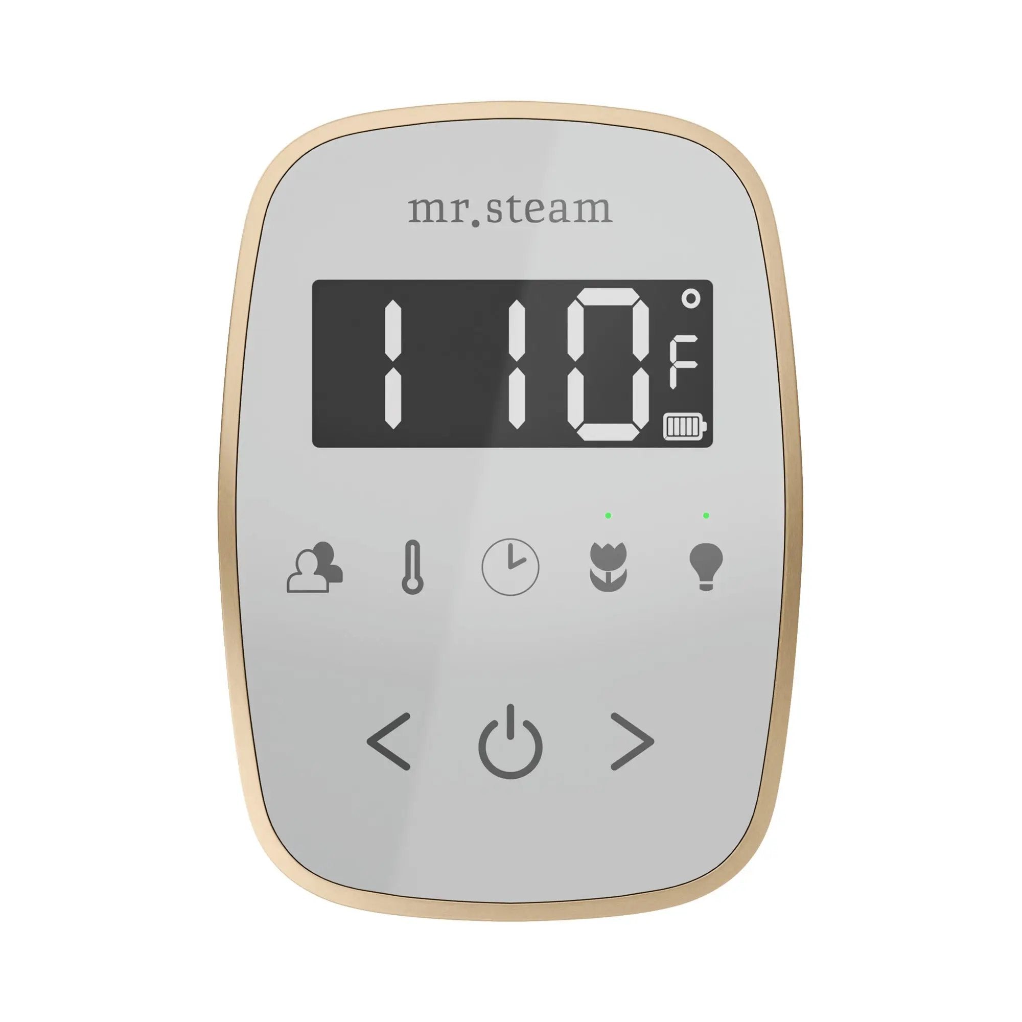Mr Steam TempoFlex Steam Shower Control and Steamhead by Mr Steam