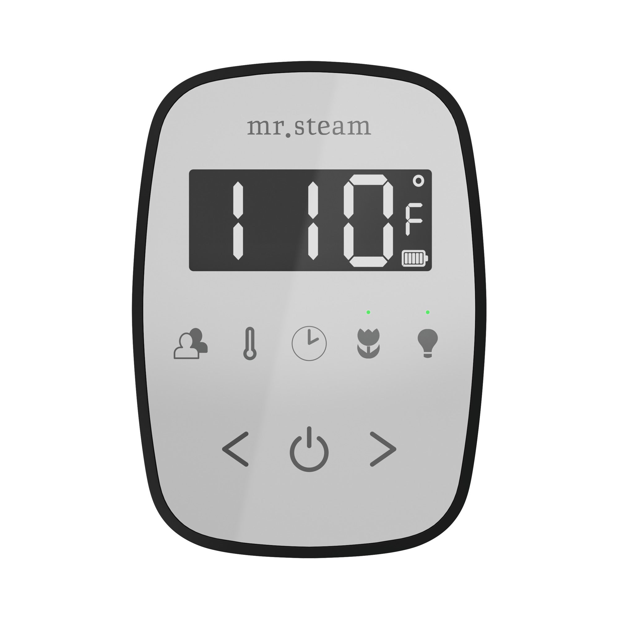 Mr Steam TempoFlex Steam Shower Control and Steamhead