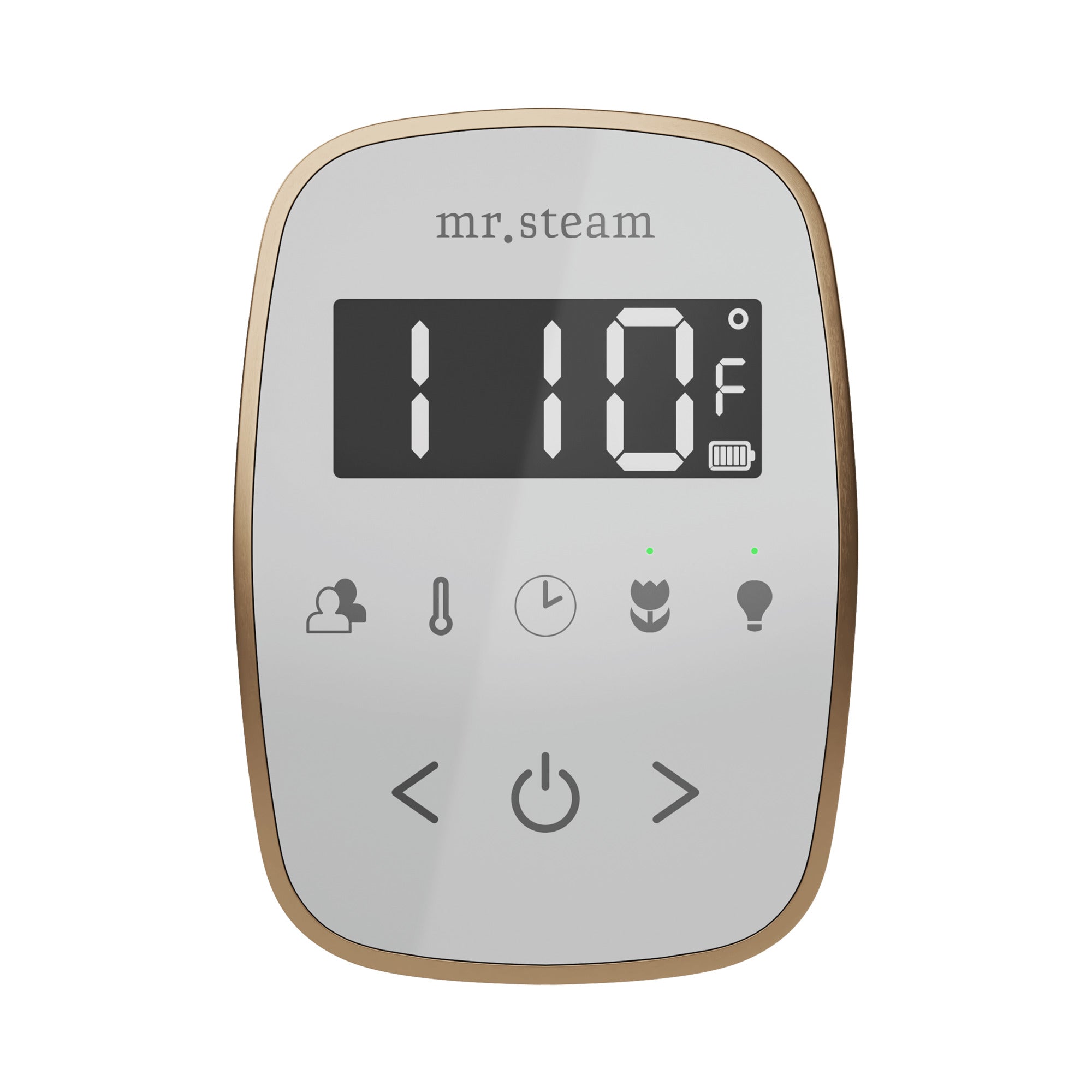 Mr Steam TempoFlex Steam Shower Control and Steamhead