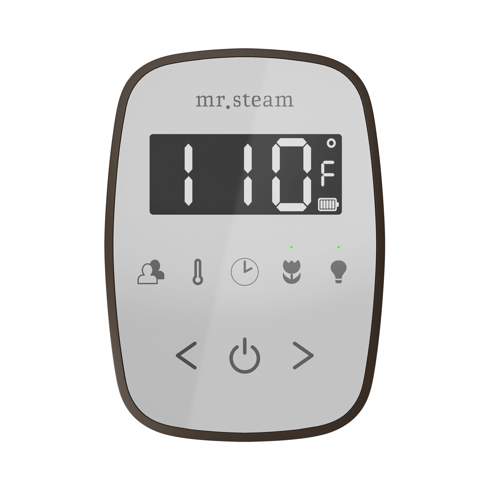 Mr Steam TempoFlex Steam Shower Control and Steamhead