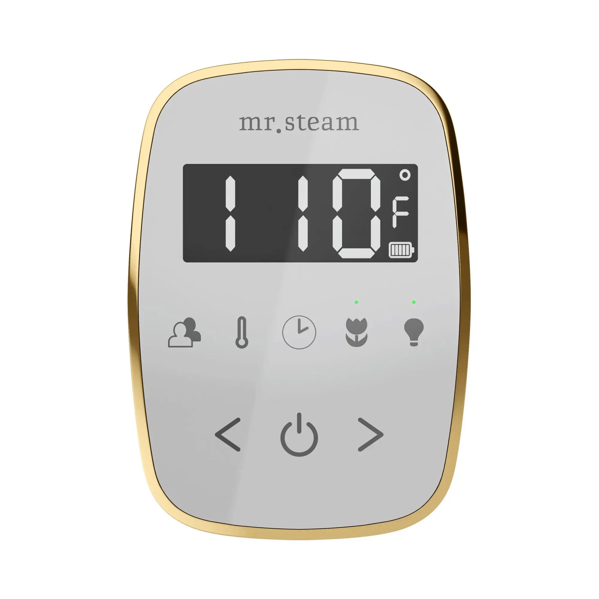 Mr Steam TempoFlex Steam Shower Control and Steamhead by Mr Steam