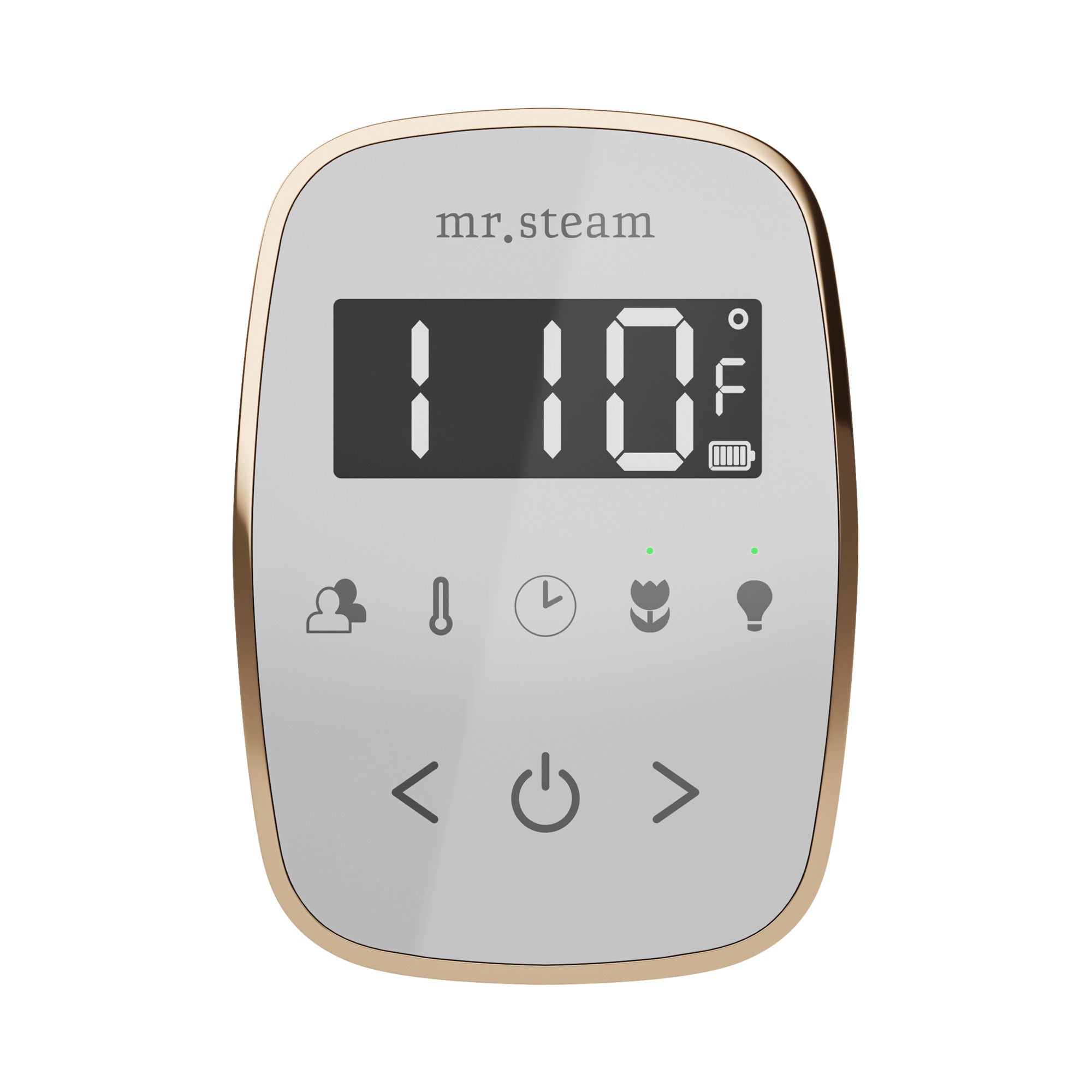 Mr Steam TempoFlex Steam Shower Control and Steamhead