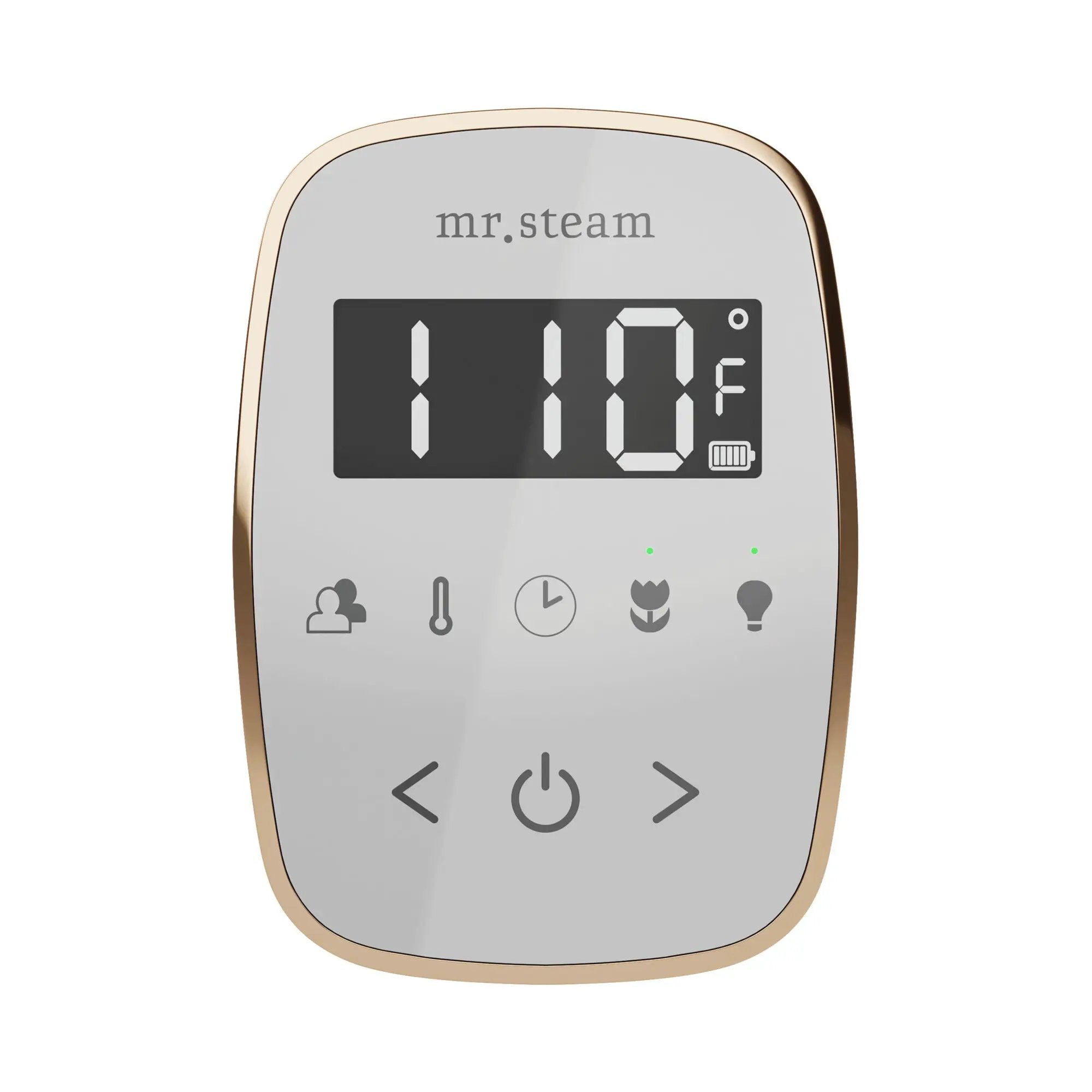 Mr Steam TempoFlex Steam Shower Control and Steamhead by Mr Steam
