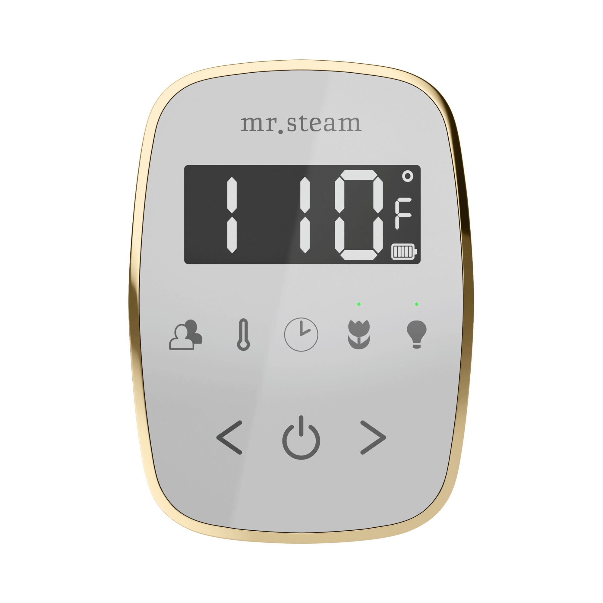 Mr Steam TempoFlex Steam Shower Control and Steamhead