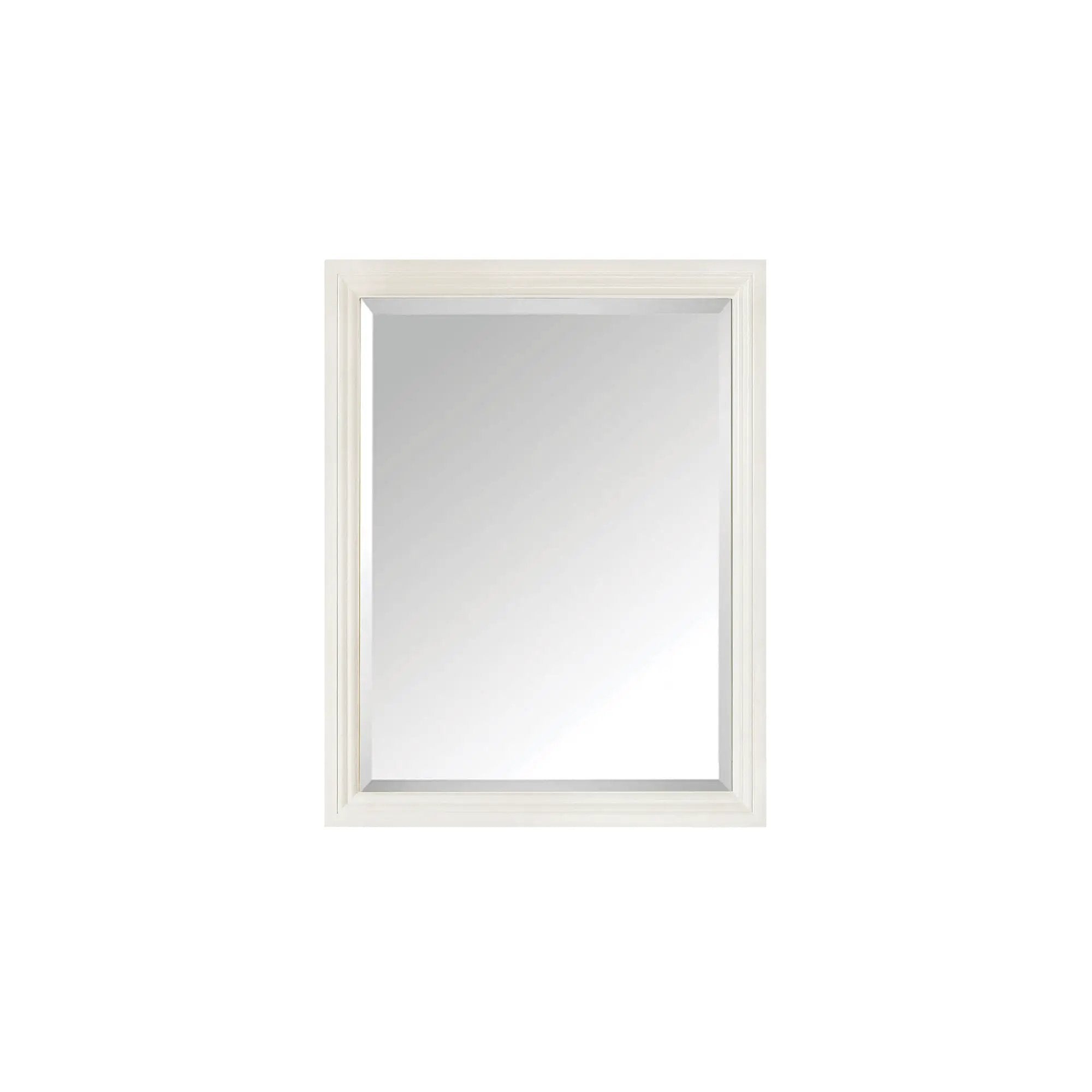 Avanity Thompson 24 Inch Mirror by Avanity