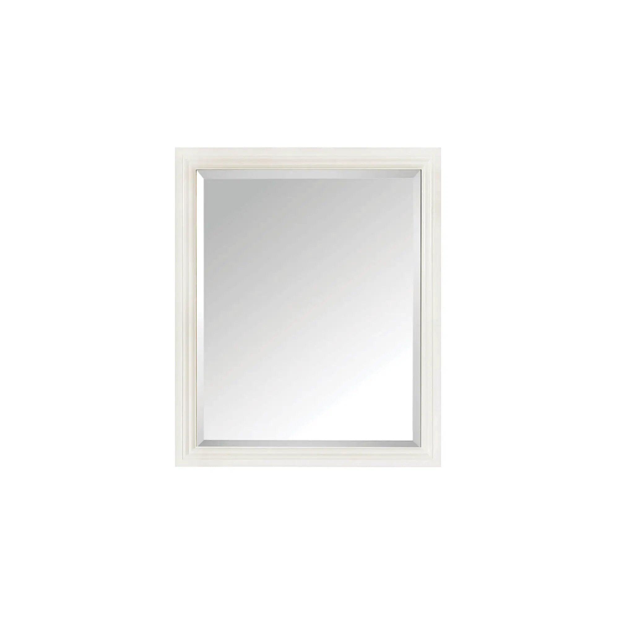 Avanity Thompson 28 Inch Mirror by Avanity