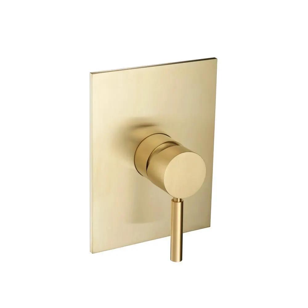 Flusso Serie 100 Shower Trim and Handle - Use with PBV1005AS by Flusso
