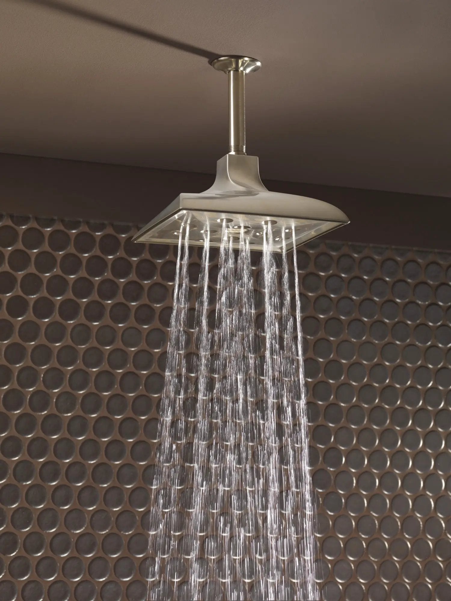 brushed nickel showerhead