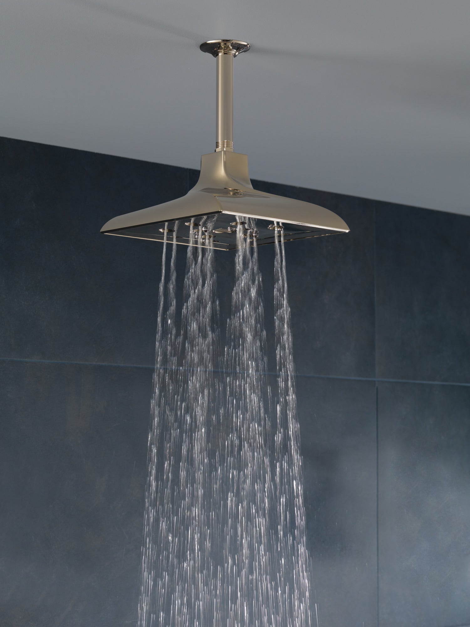 polished nickel showerhead