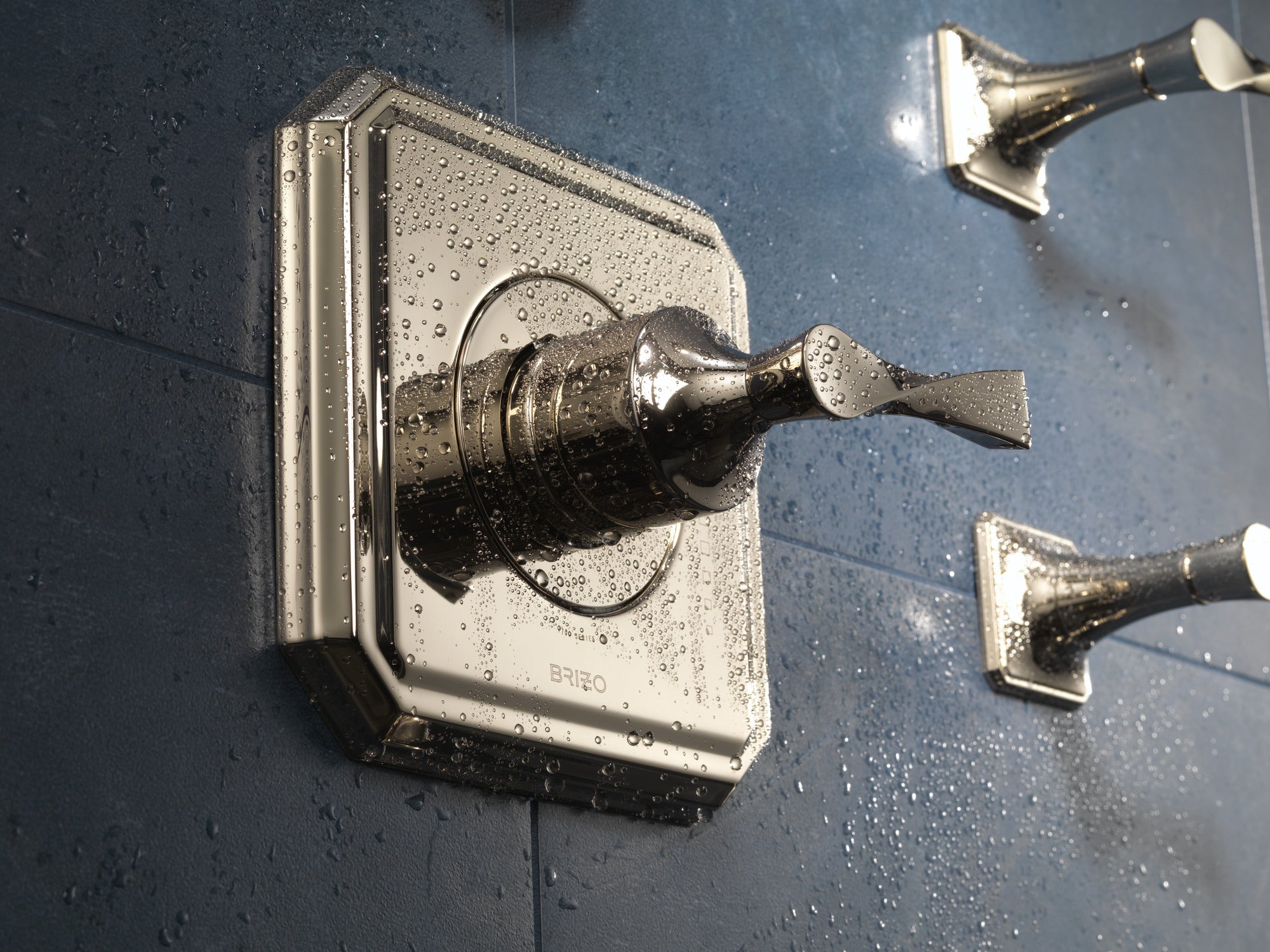 polished nickel volume control trim