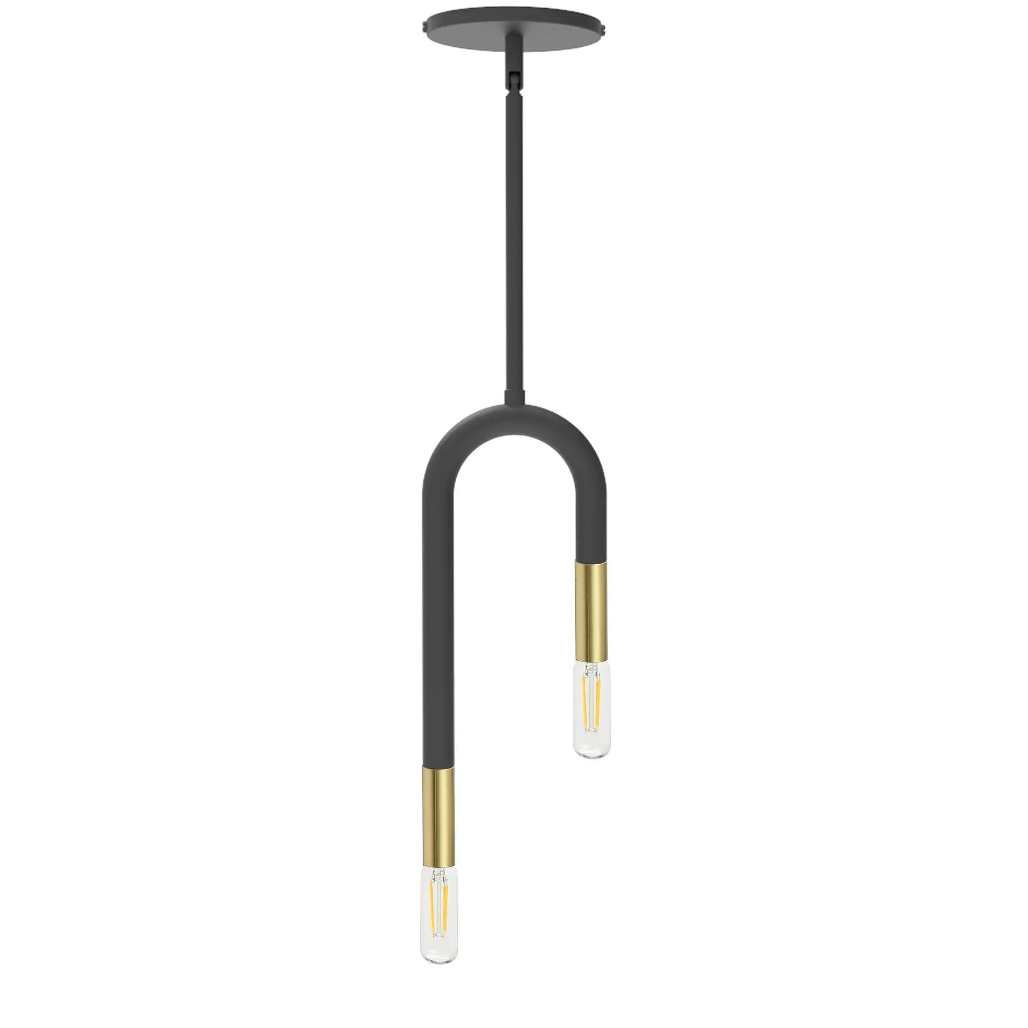 Dainolite 2 Light Incandescent Pendant by Dainolite