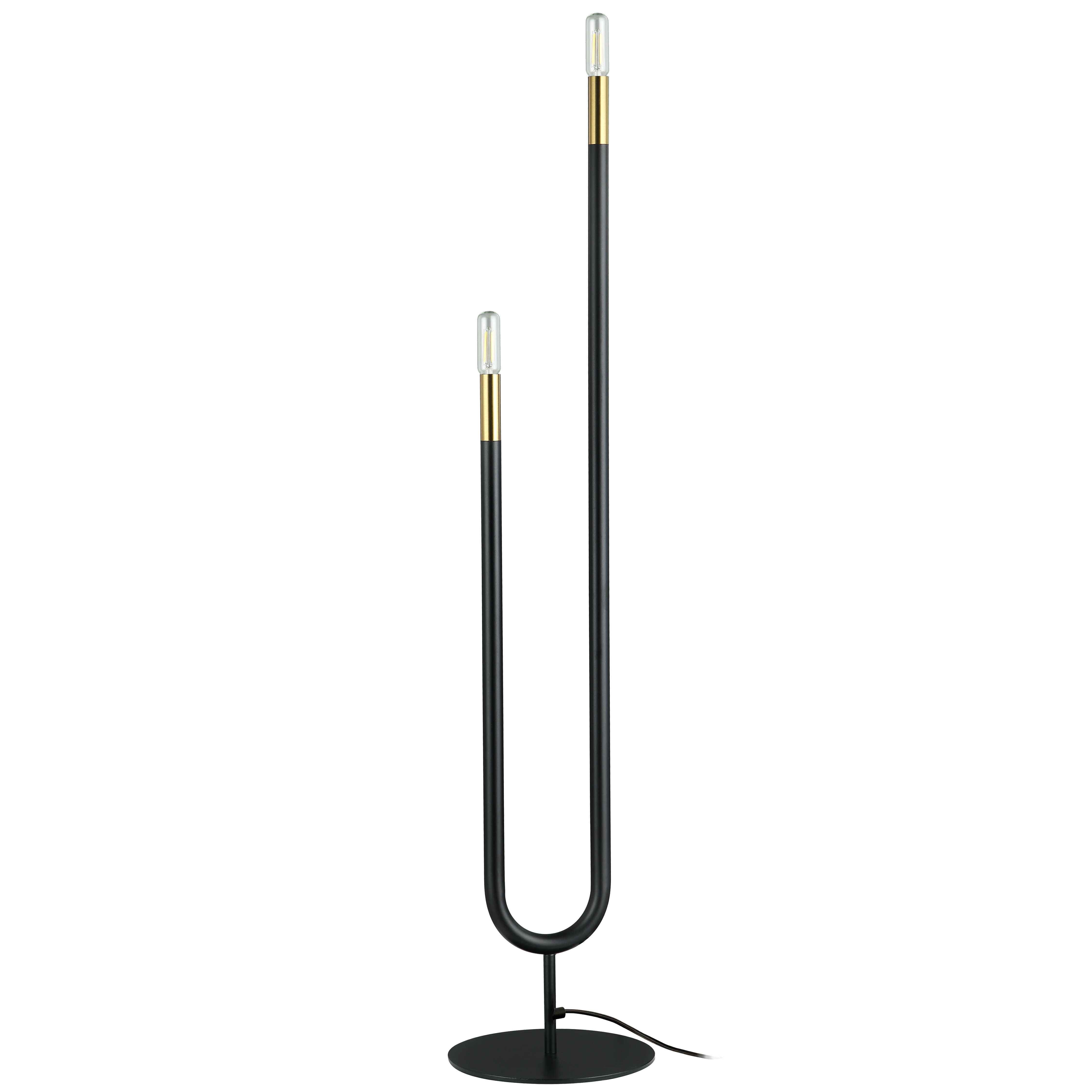 Dainolite 2 Light Incandescent Floor Lamp