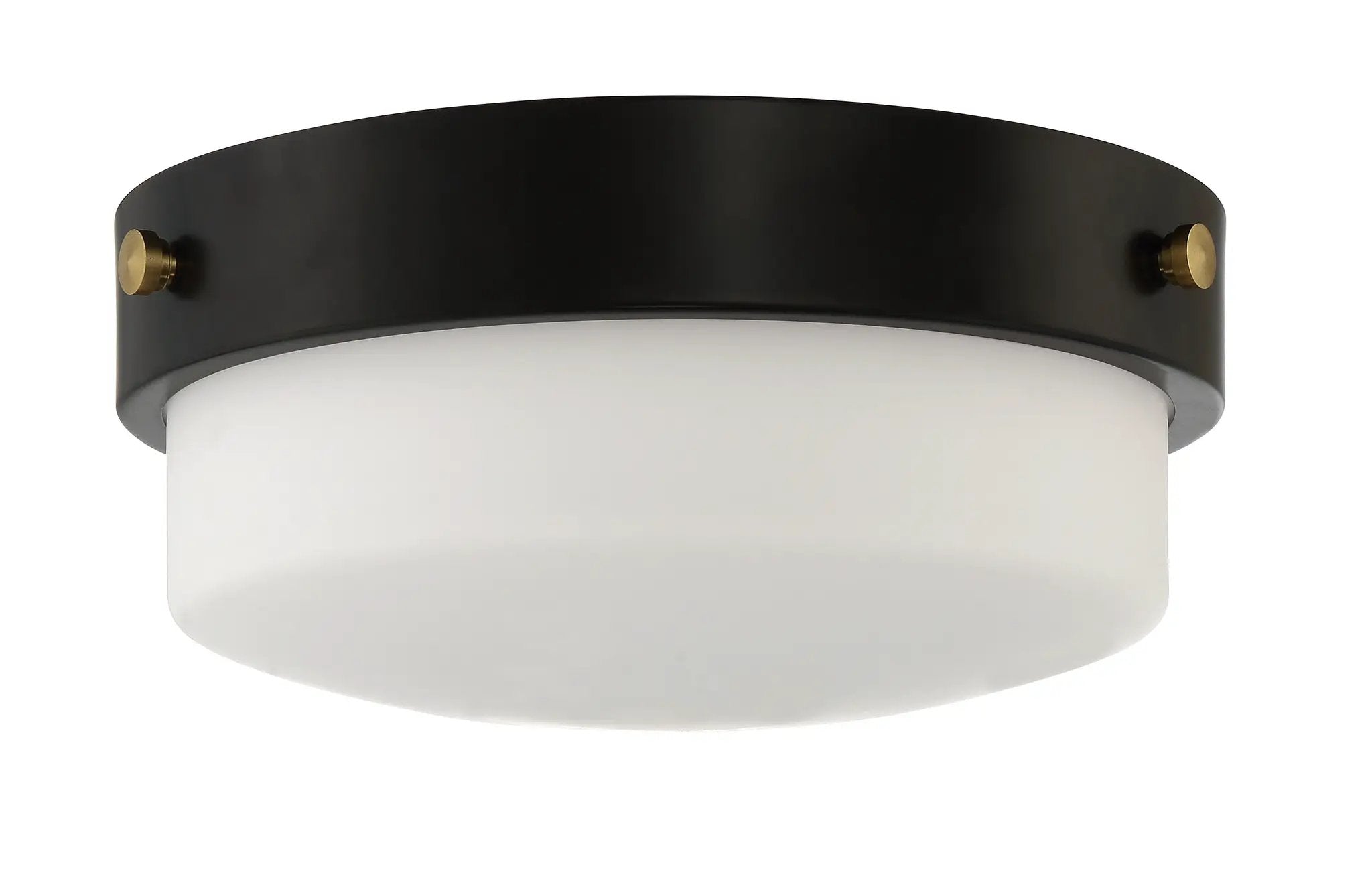 flat black ceiling mount